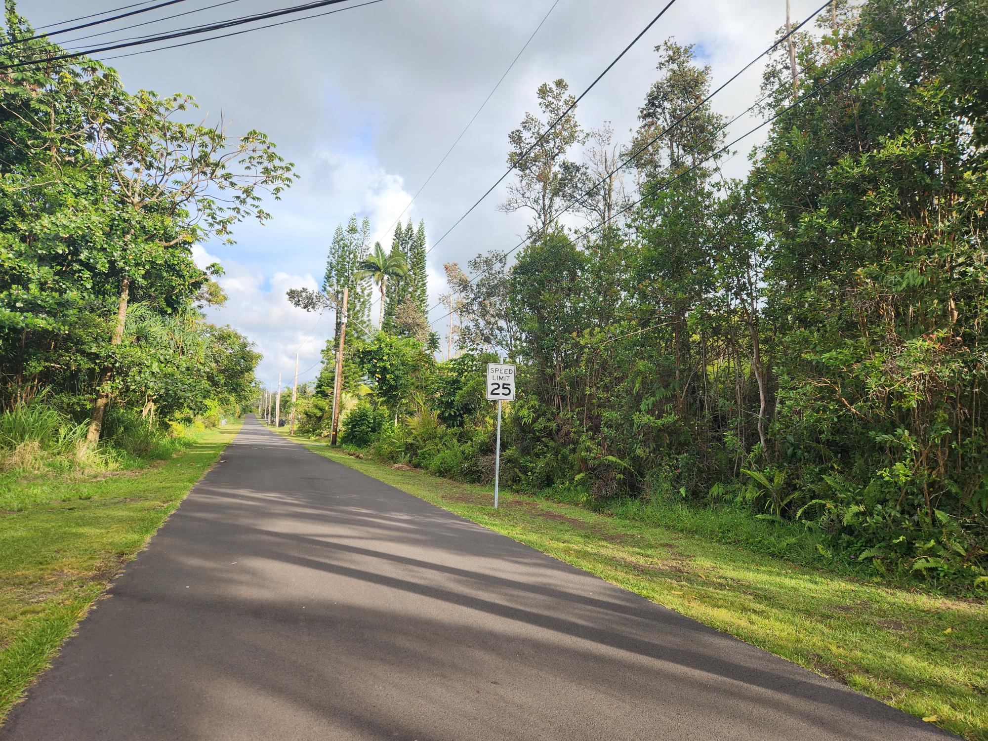 Kawakawa St Property Photo 1