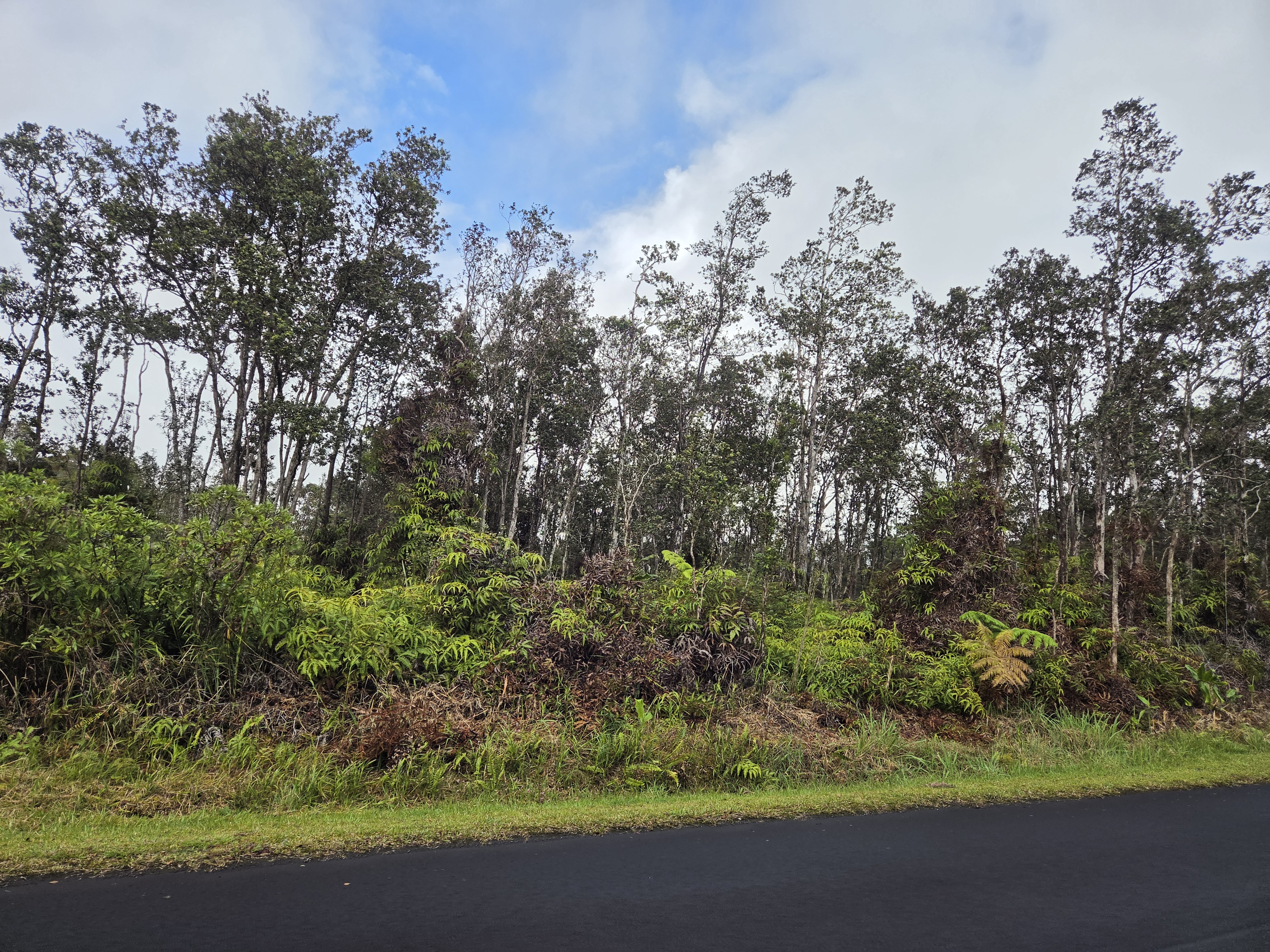 Alii Anela St Property Photo 2