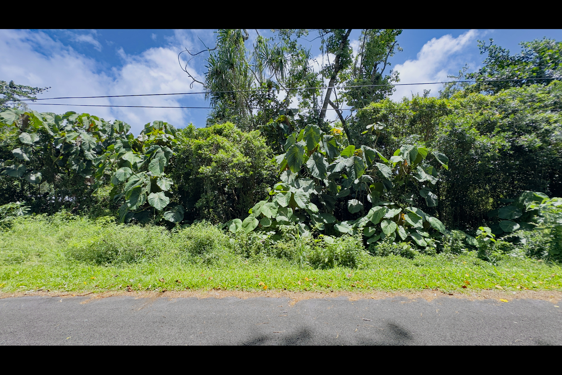 Opakapaka St Property Photo 7