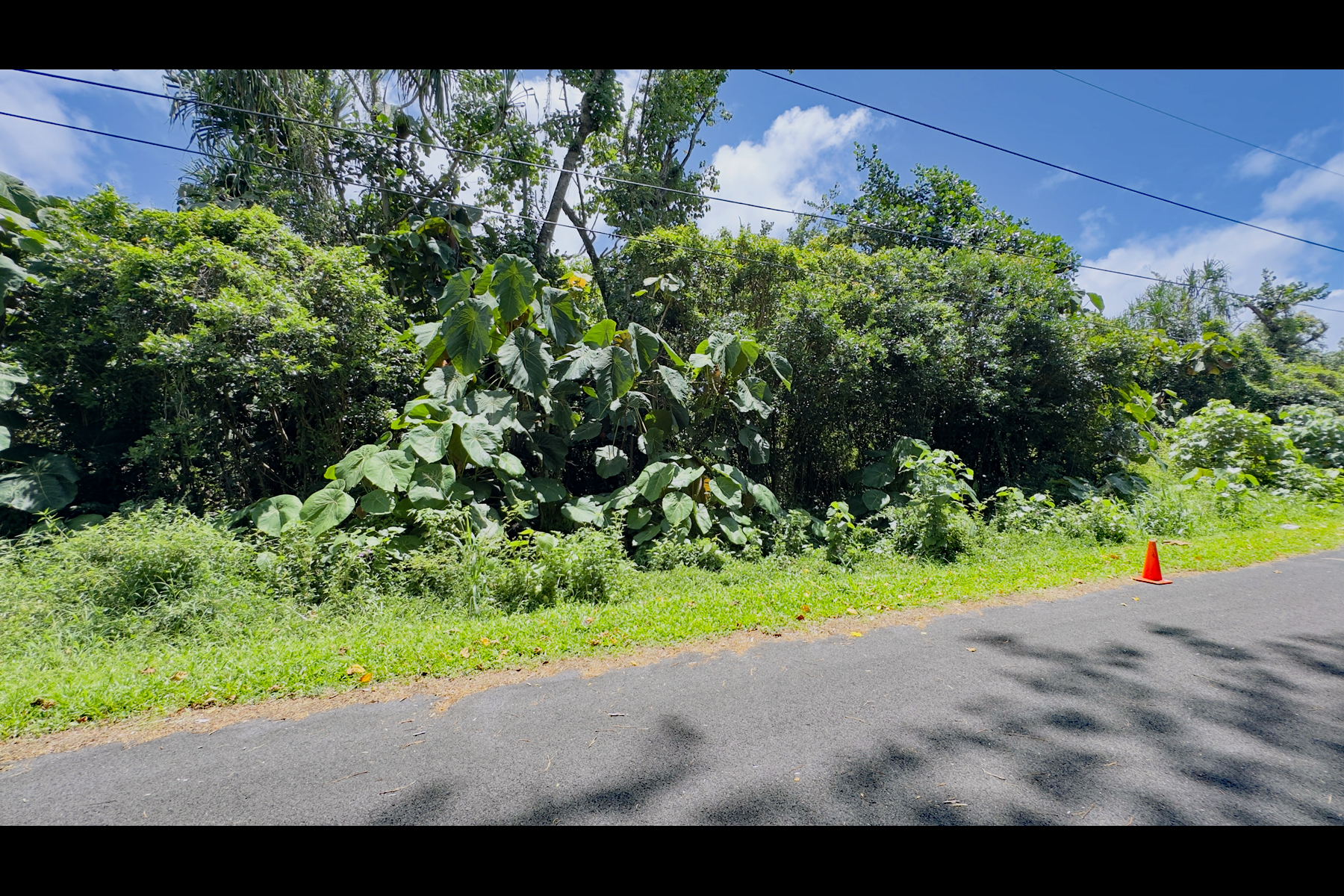 Opakapaka St Property Photo 8