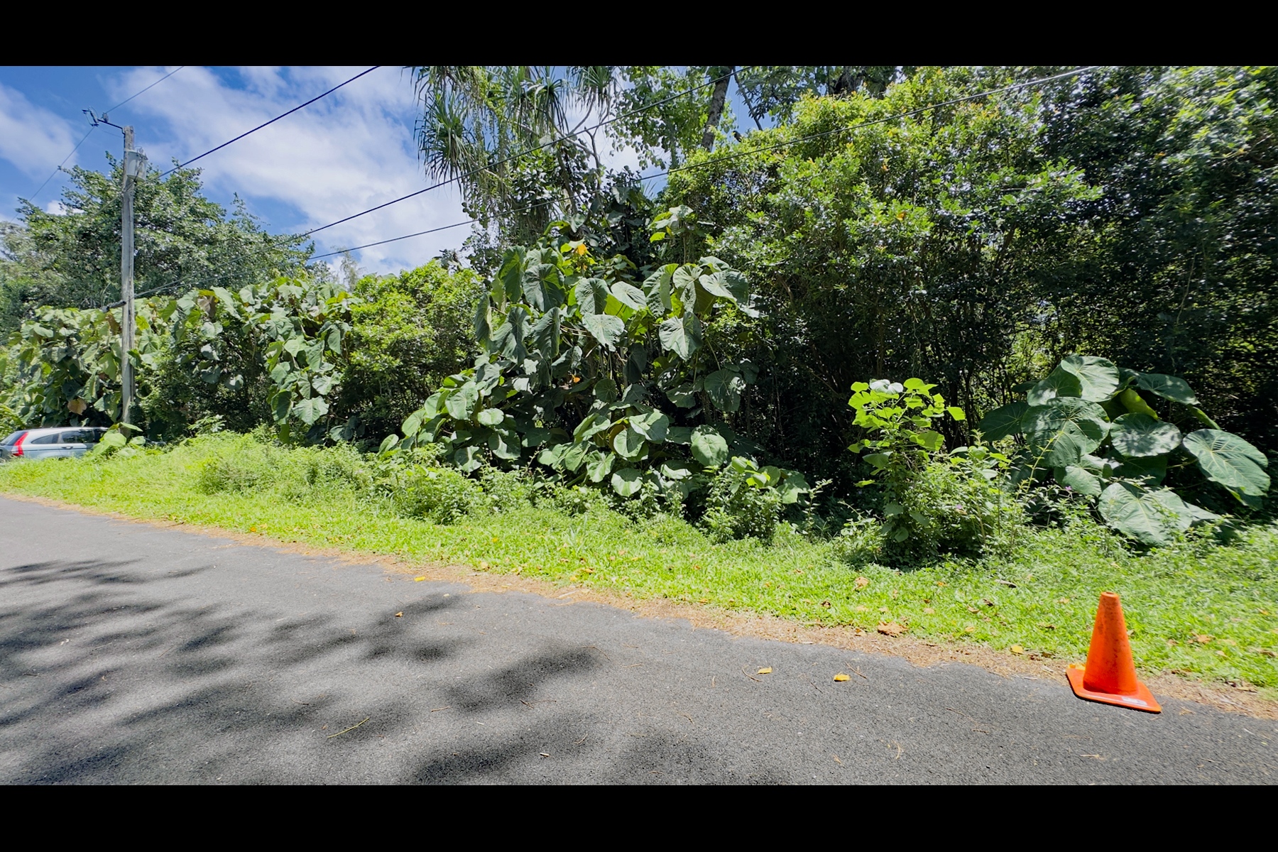 Opakapaka St Property Photo 10