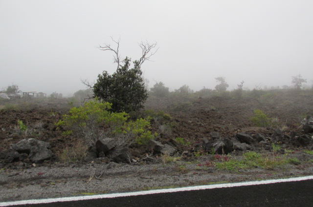Lurline Ln Property Photo 1