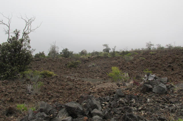 Lurline Ln Property Photo 2
