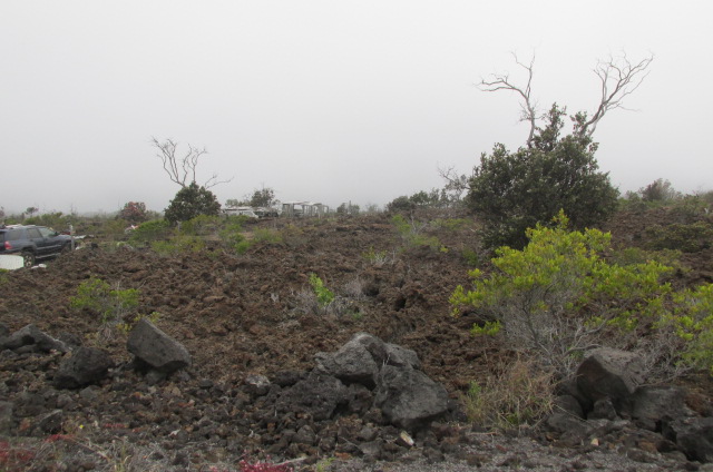 Lurline Ln Property Photo 3