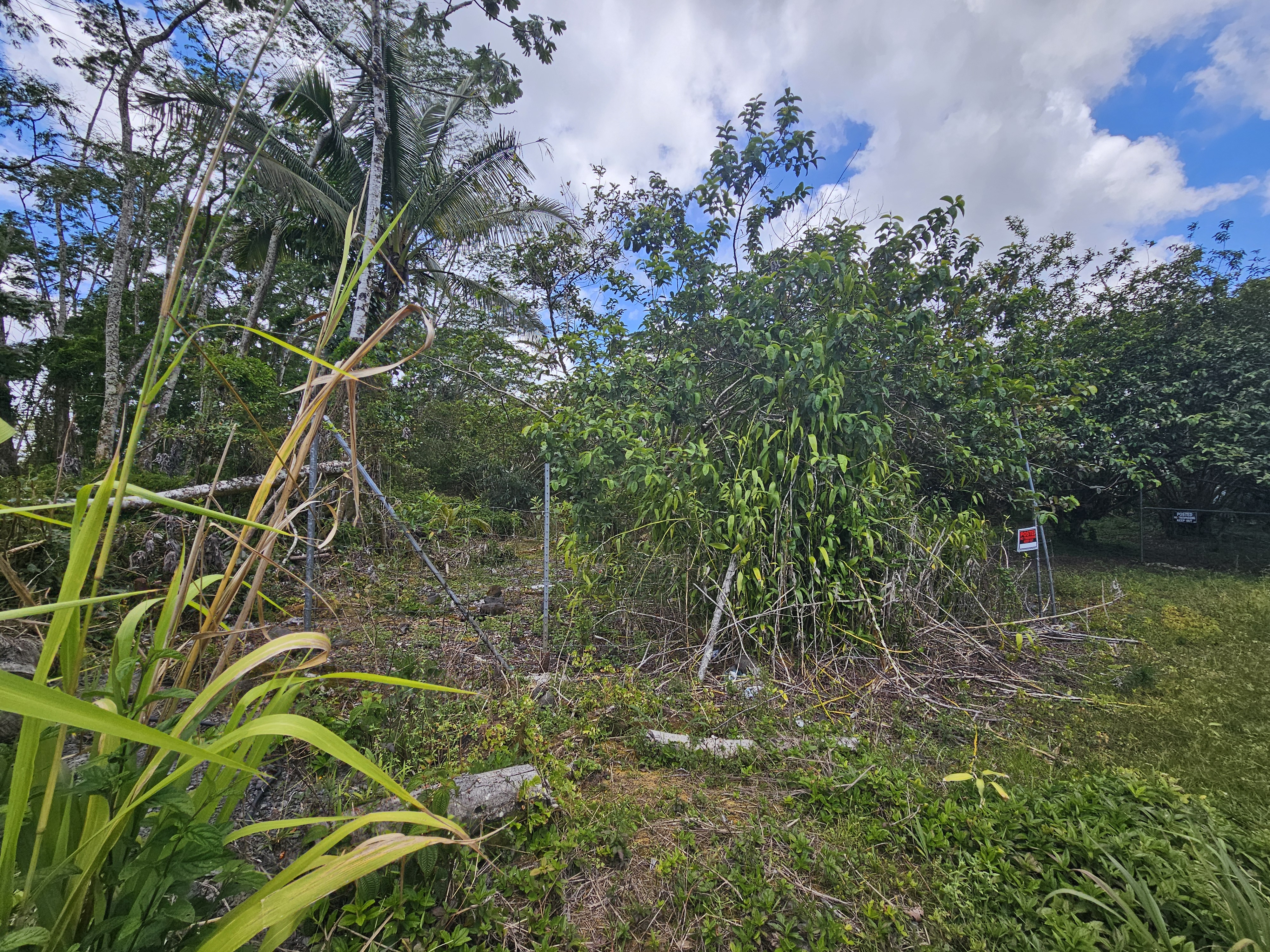 34th Ave Property Photo 7
