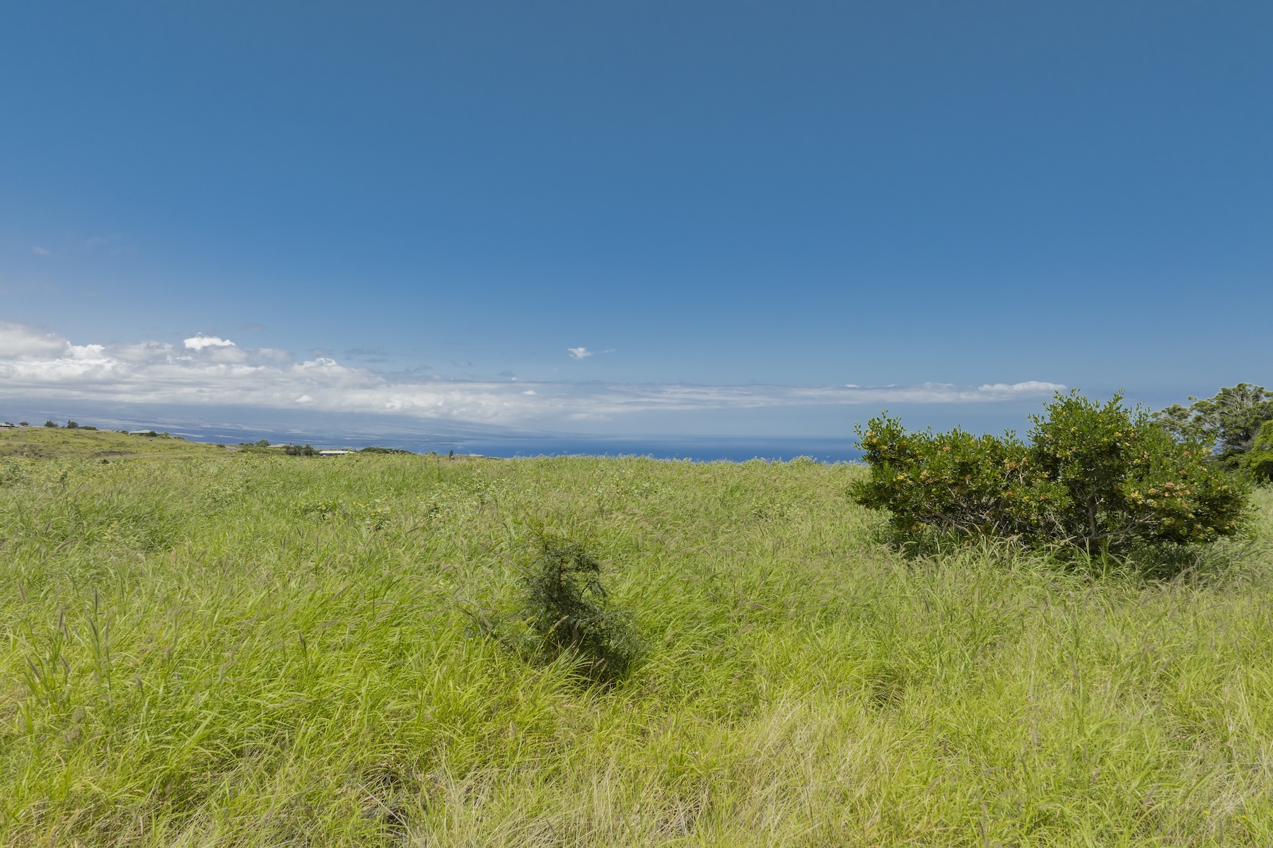 457 Kanaloa Dr Property Photo 19