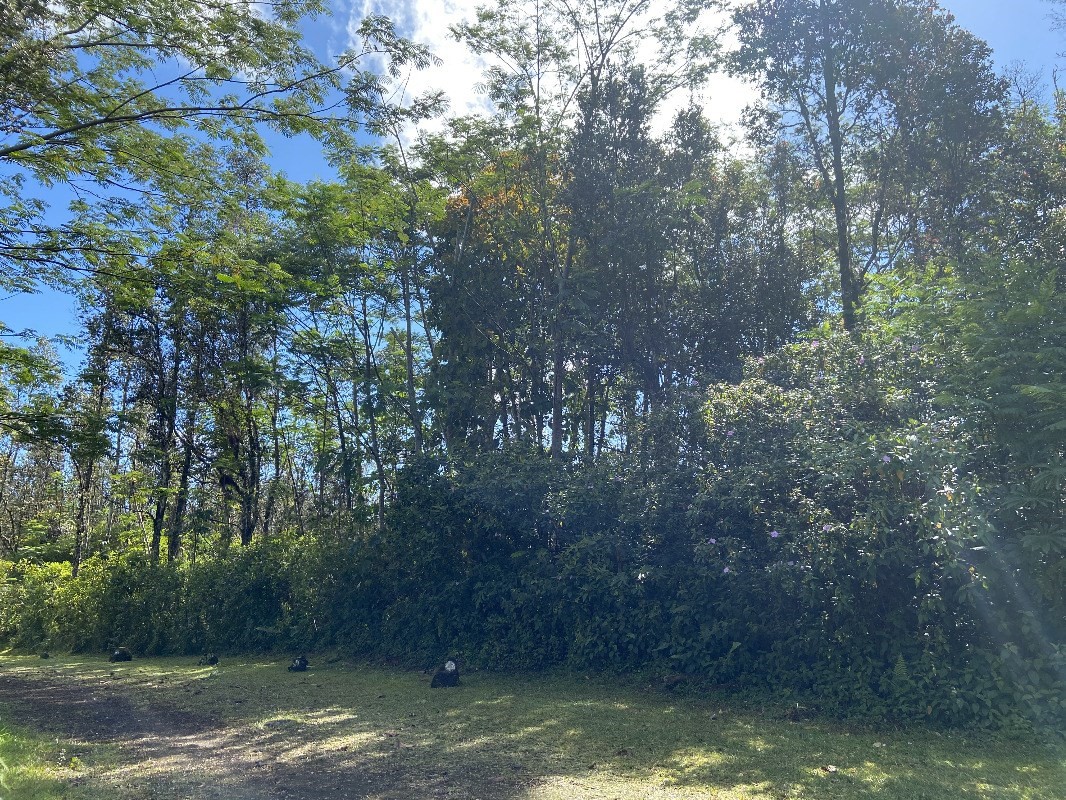 TUTU RD Property Photo 1