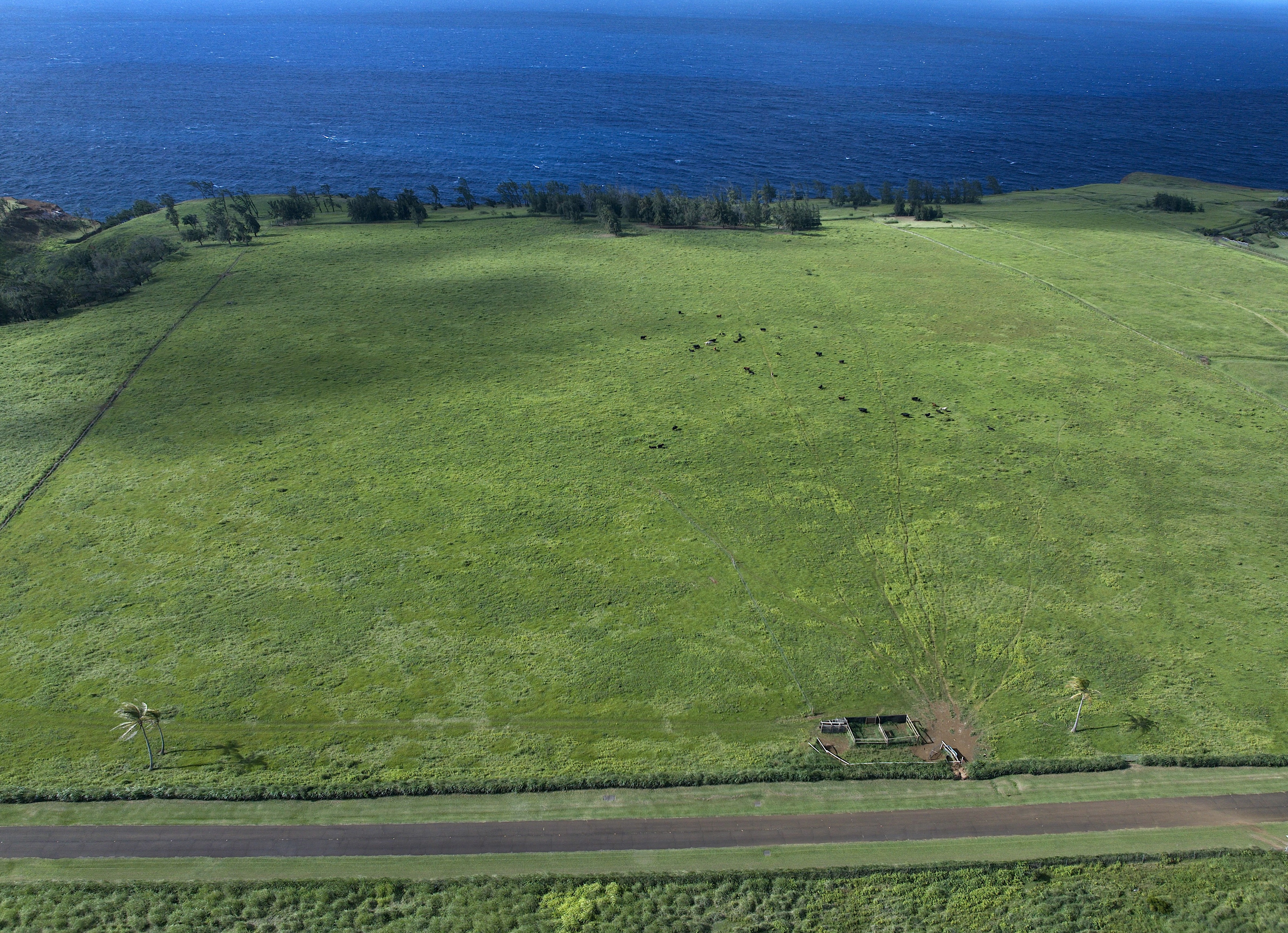 Uli Rd Lot 1 Property Photo 2