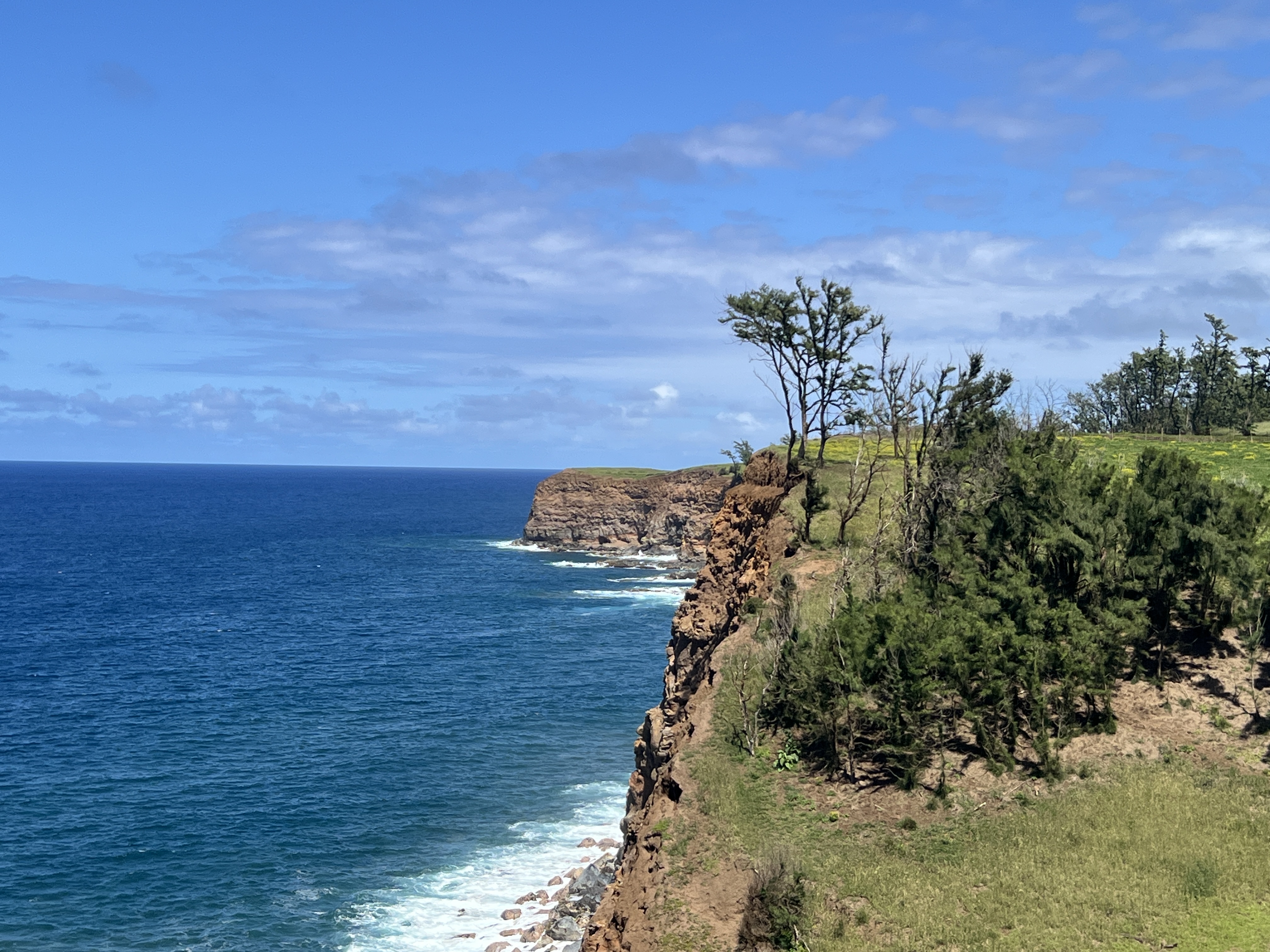 Uli Rd Lot 1 Property Photo 13