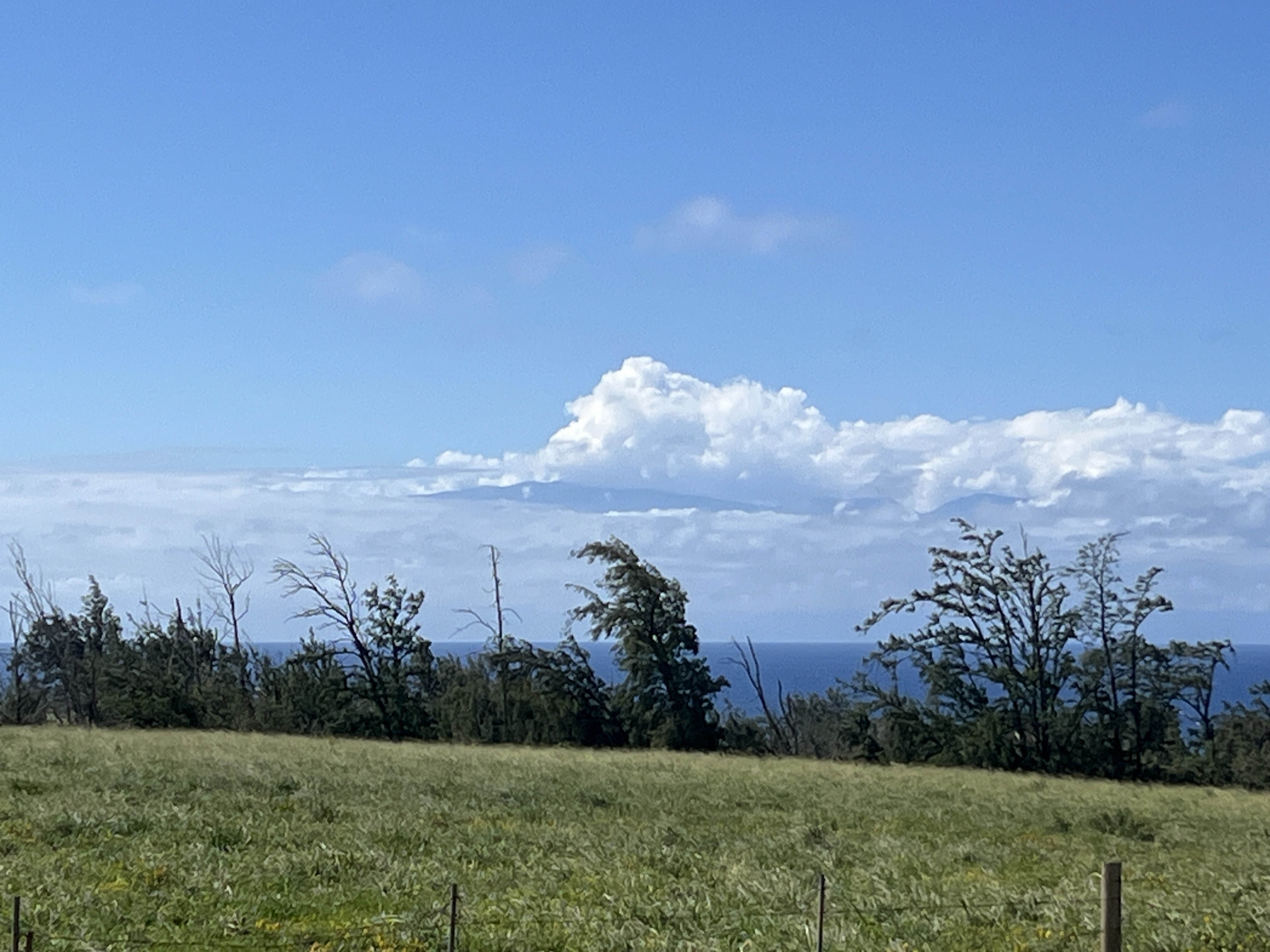 Uli Road Lot 2 Property Photo 2