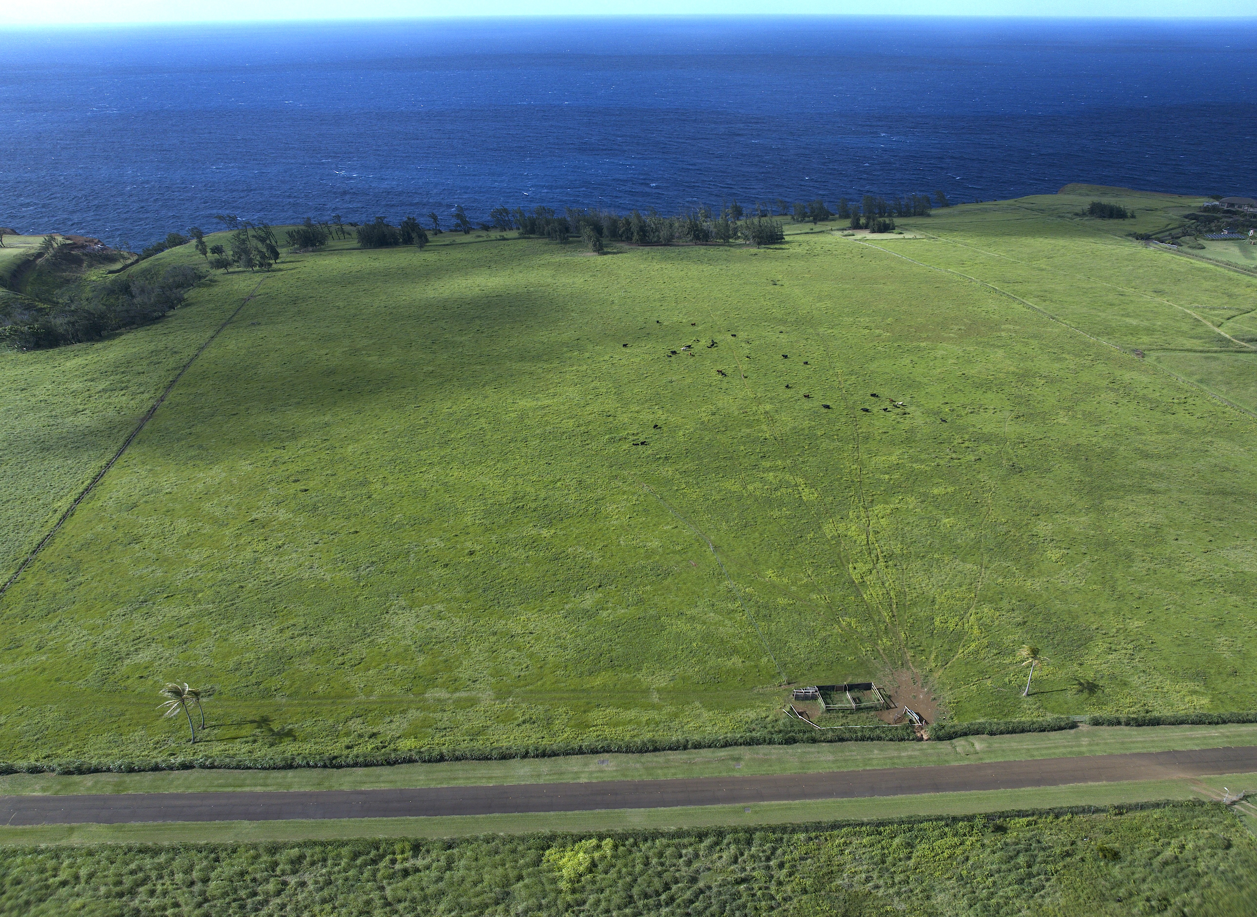 Uli Road Lot 2 Property Photo 5
