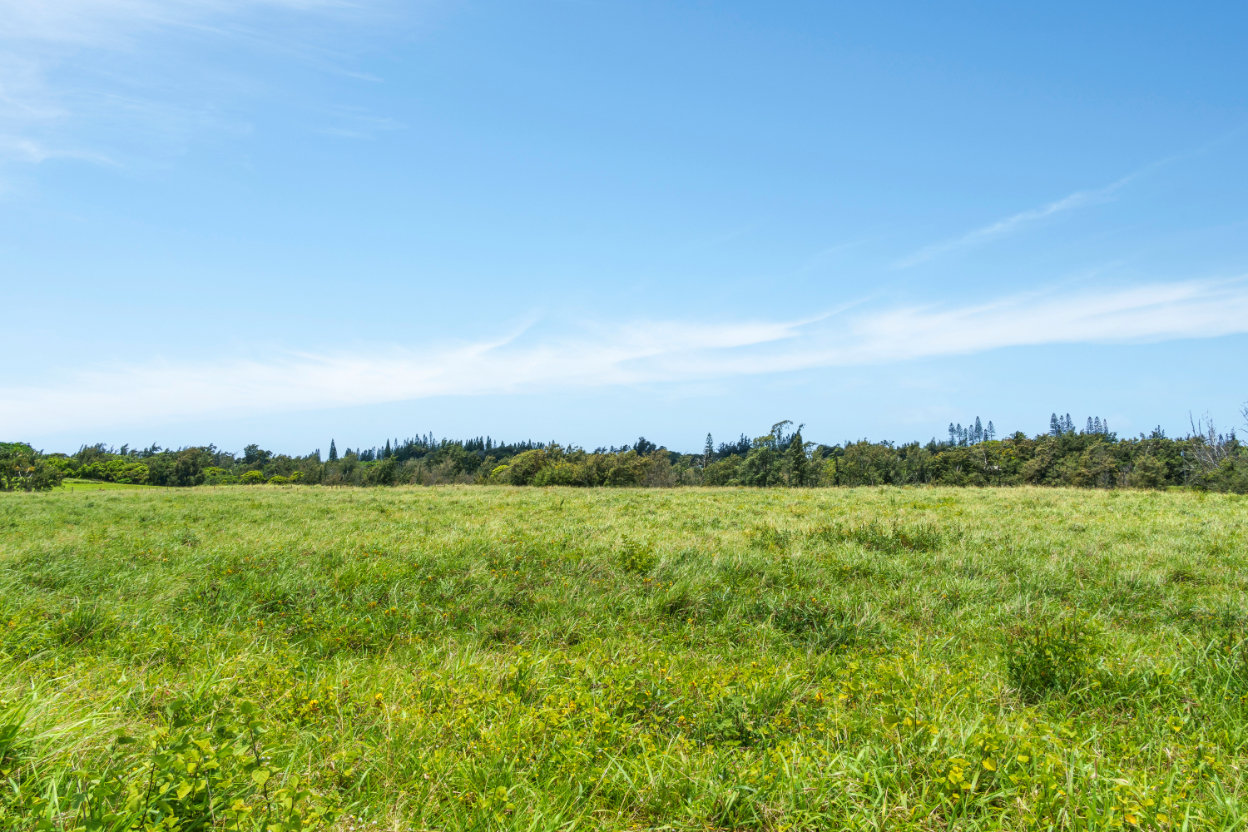Uli Road Lot 2 Property Photo 7
