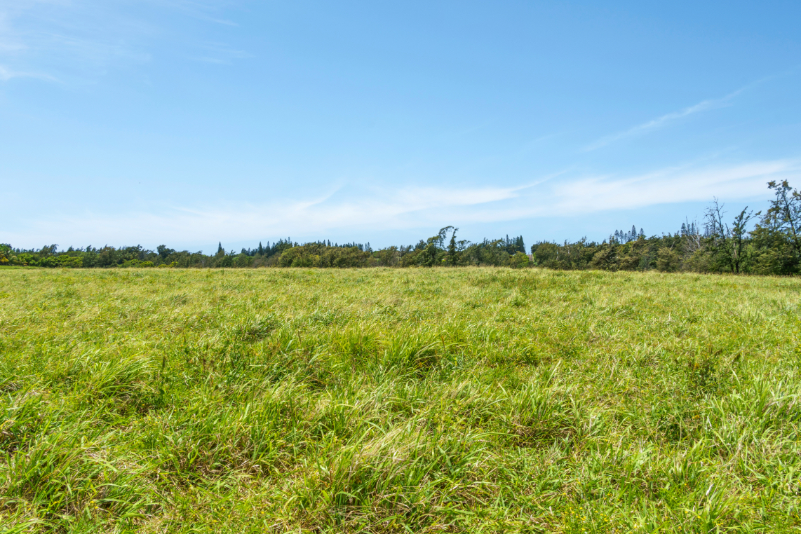 Uli Road Lot 2 Property Photo 8