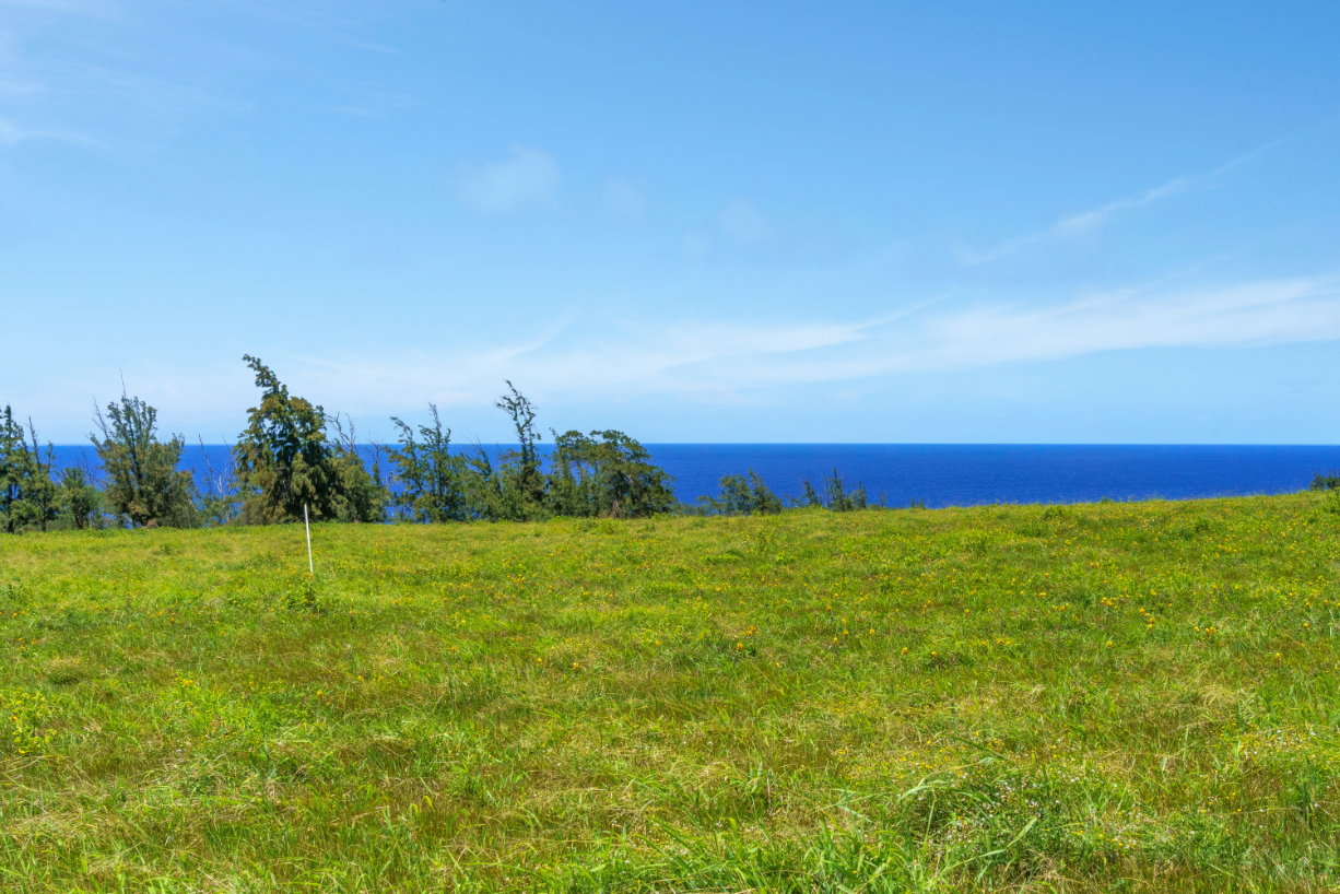 Uli Road Lot 2 Property Photo 9