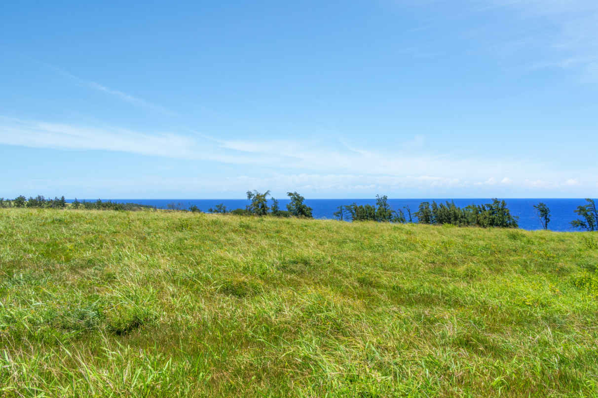 Uli Road Lot 2 Property Photo 11