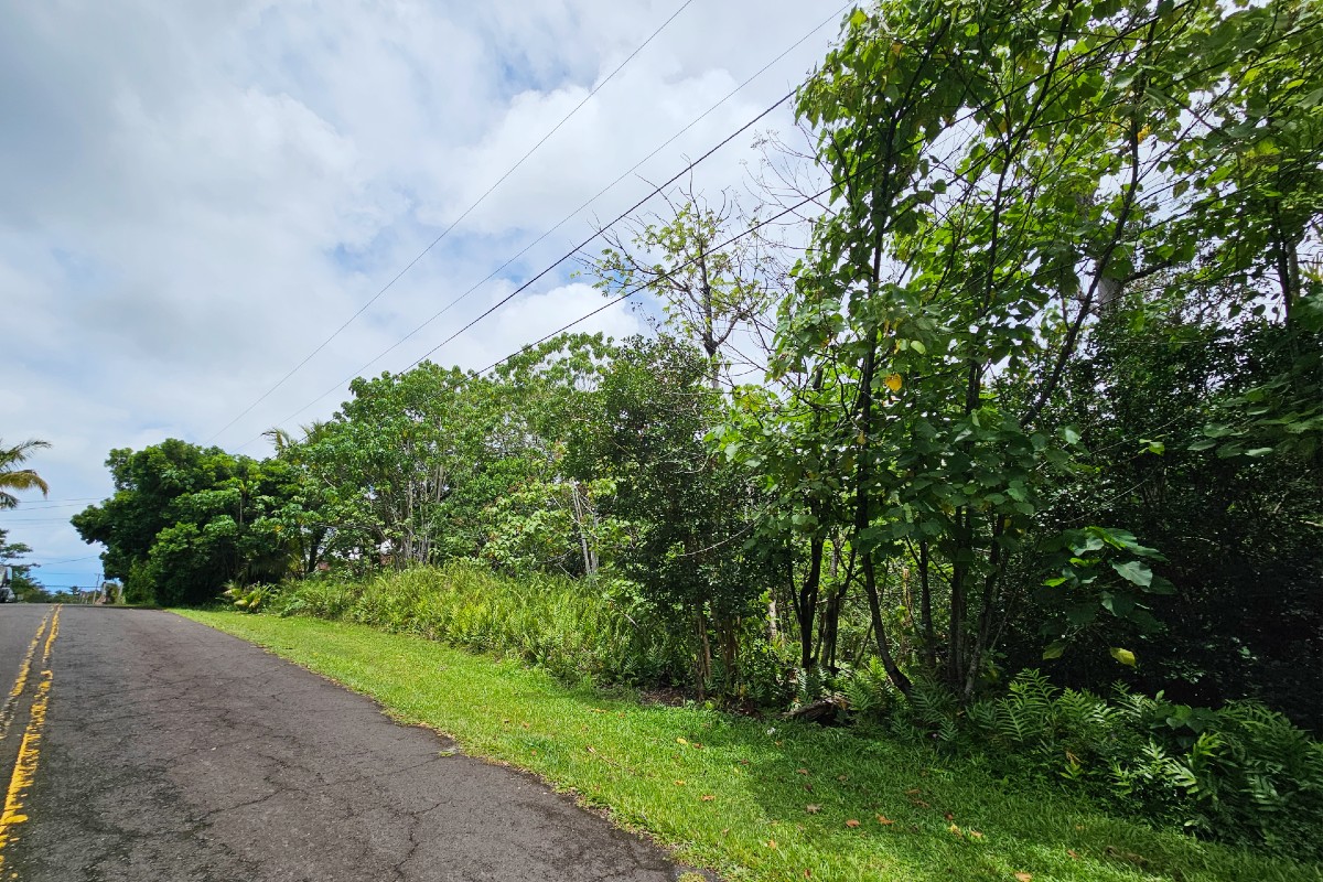 12-316 Pohakupele Loop Property Photo 5