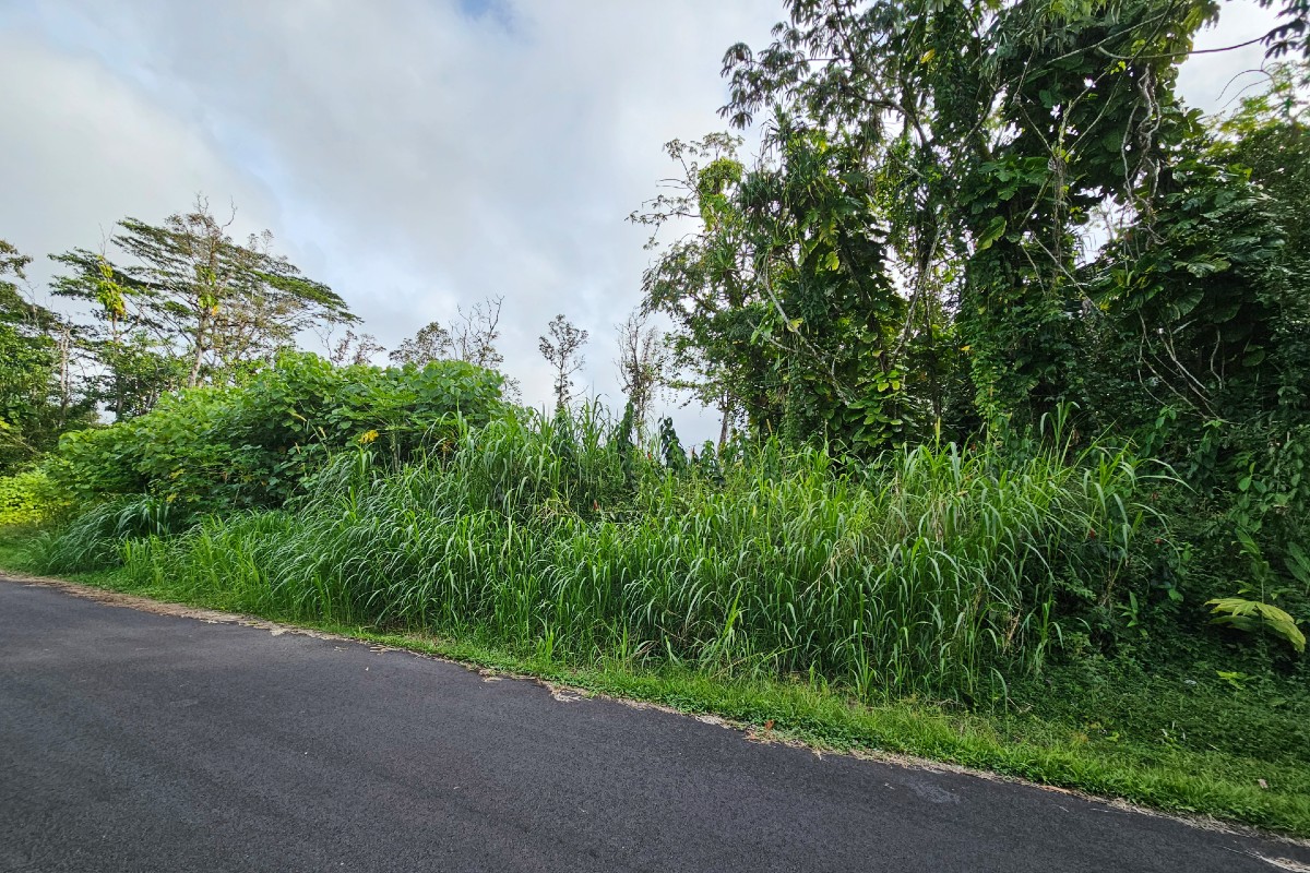 Ono St Lot 20 Property Photo 4