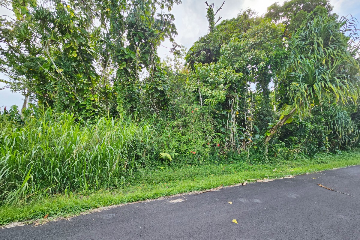 Ono St Lot 20 Property Photo 5