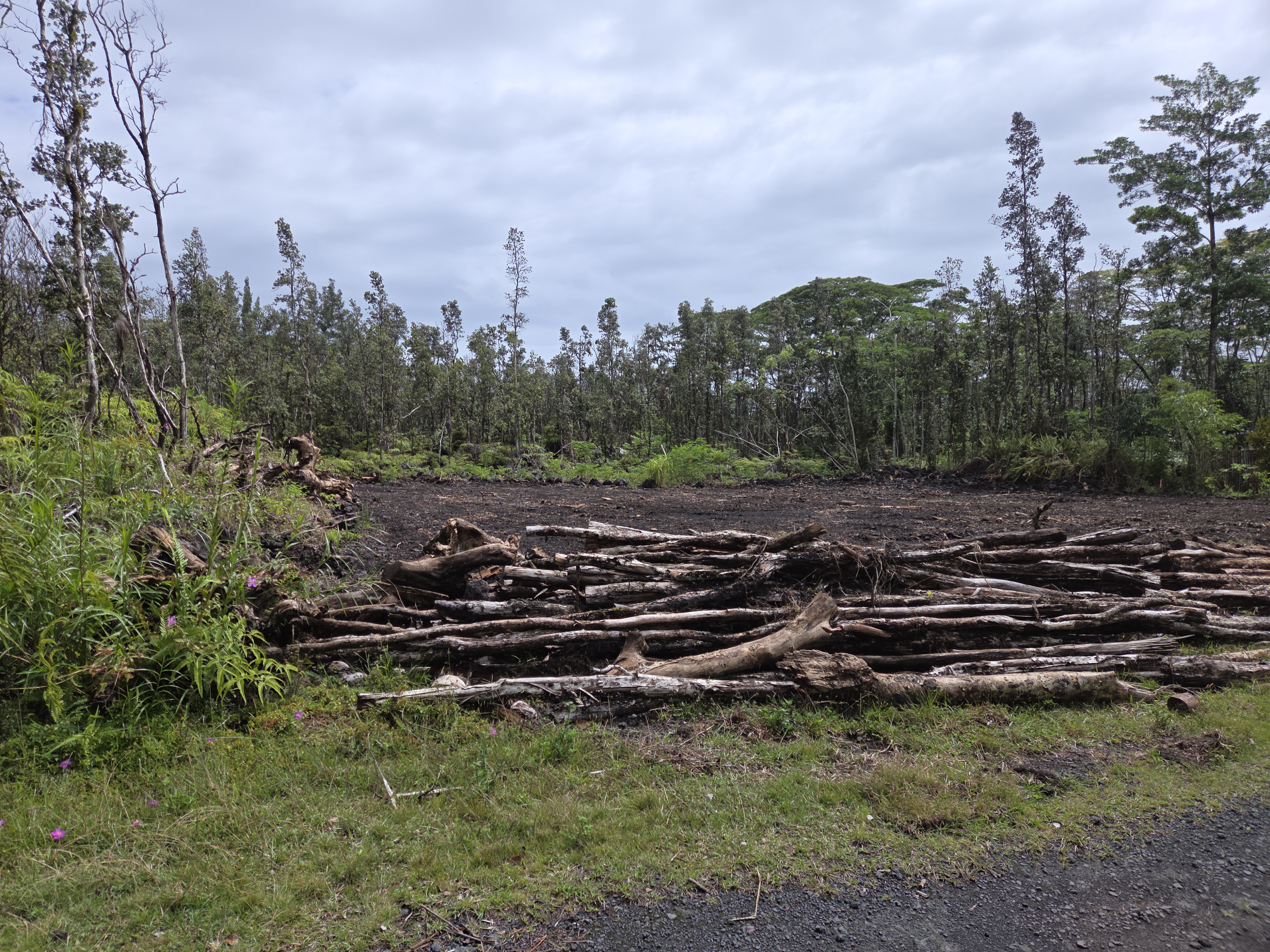 Plumeria Rd Property Photo 3