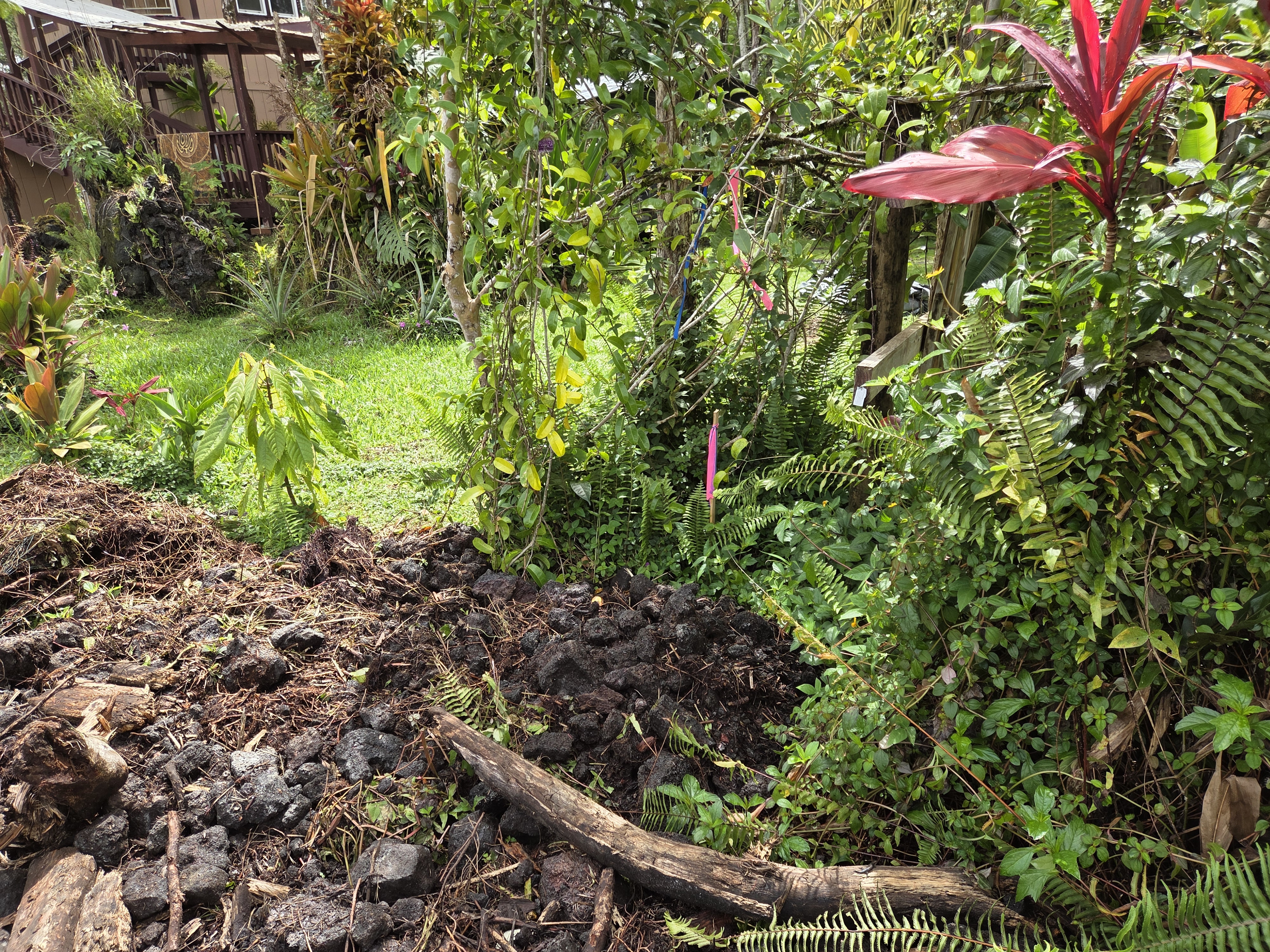 Plumeria Rd Property Photo 7