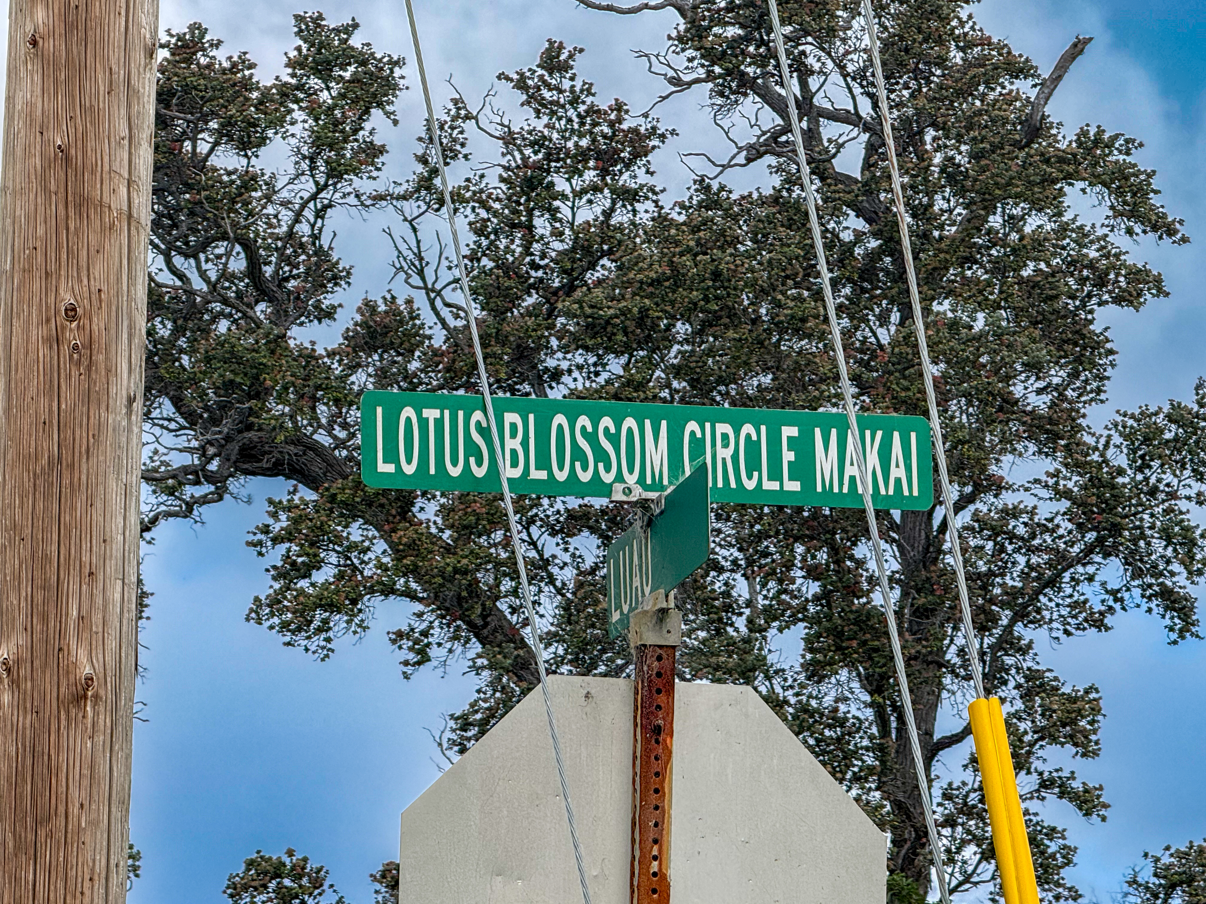 Lotus Blossom Circle Makai Property Photo 3