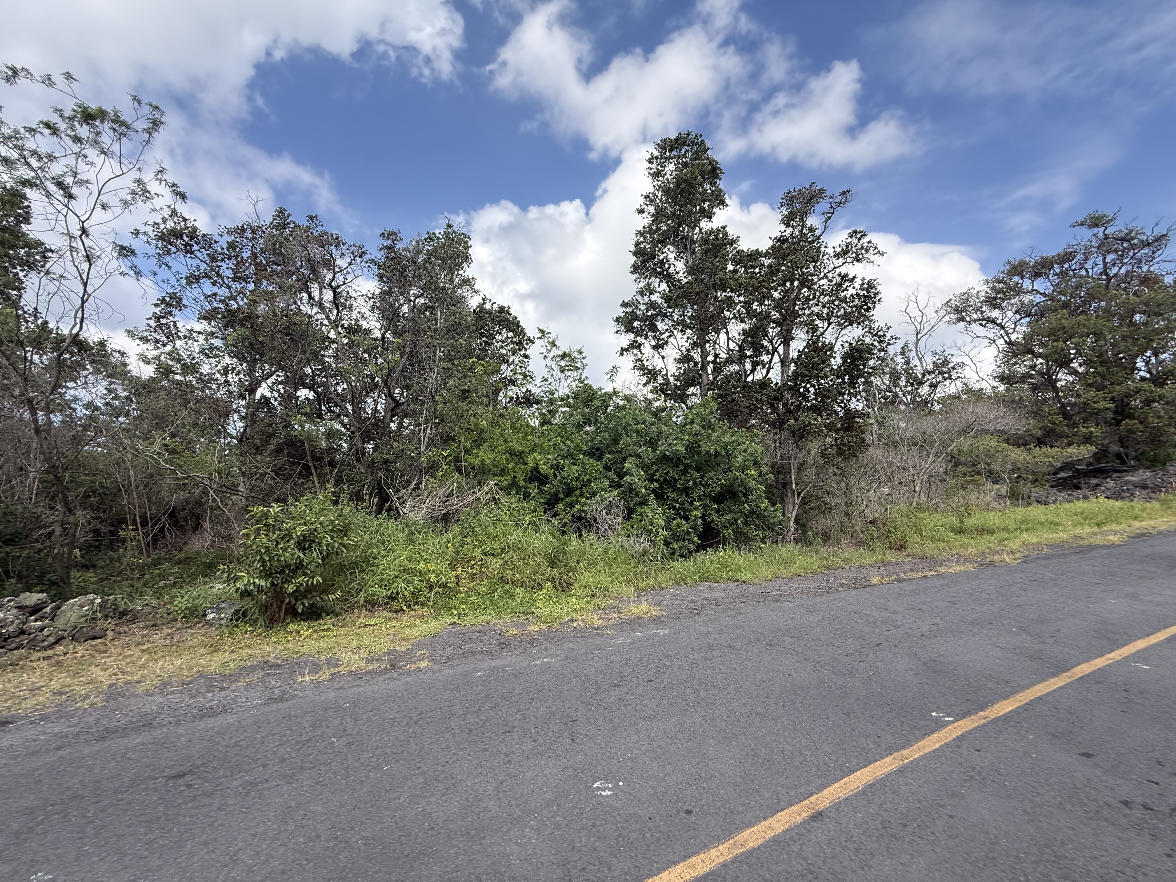 Lotus Blossom Circle Makai Property Photo 5