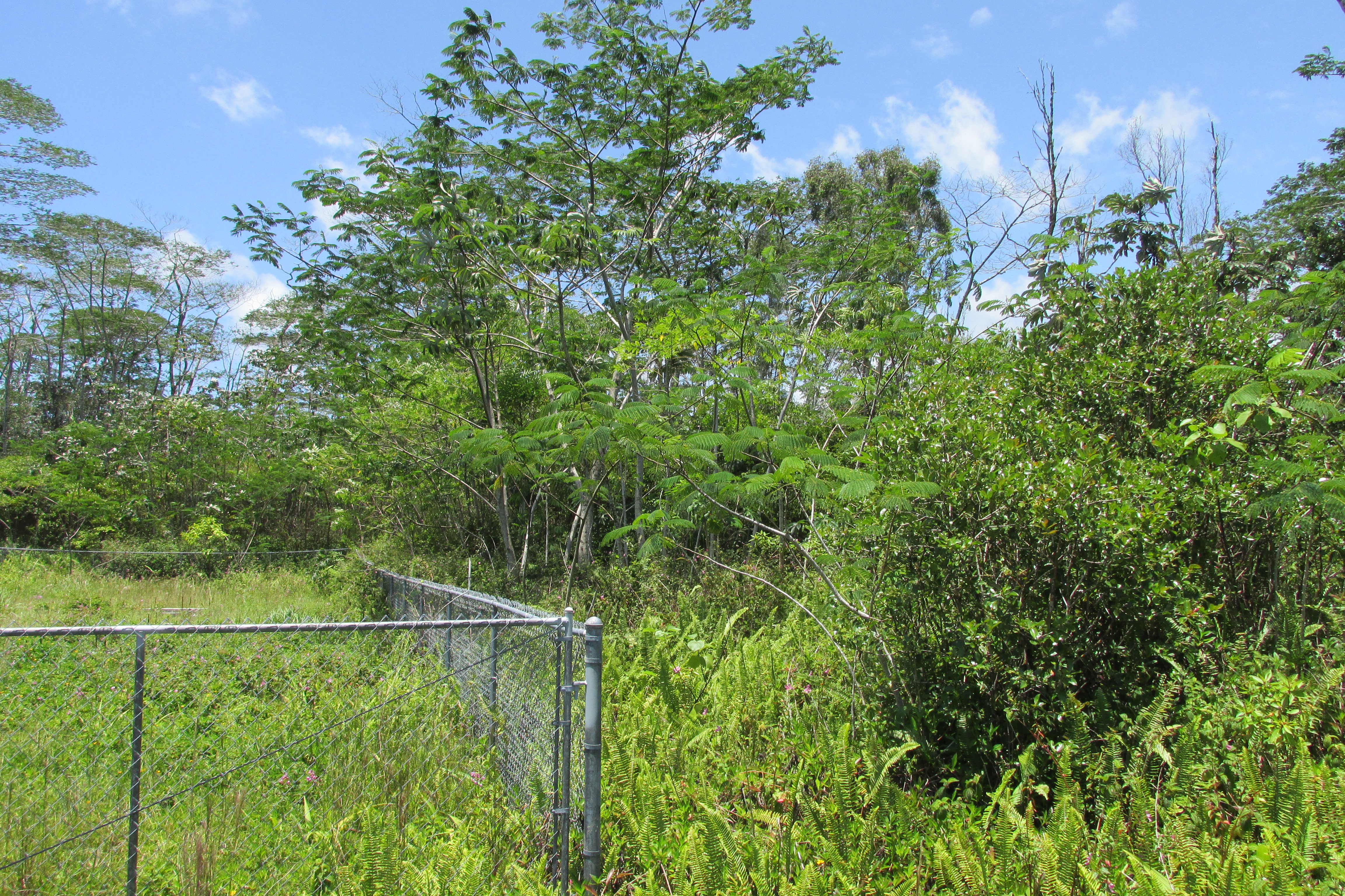 Plumeria Rd Property Photo 1