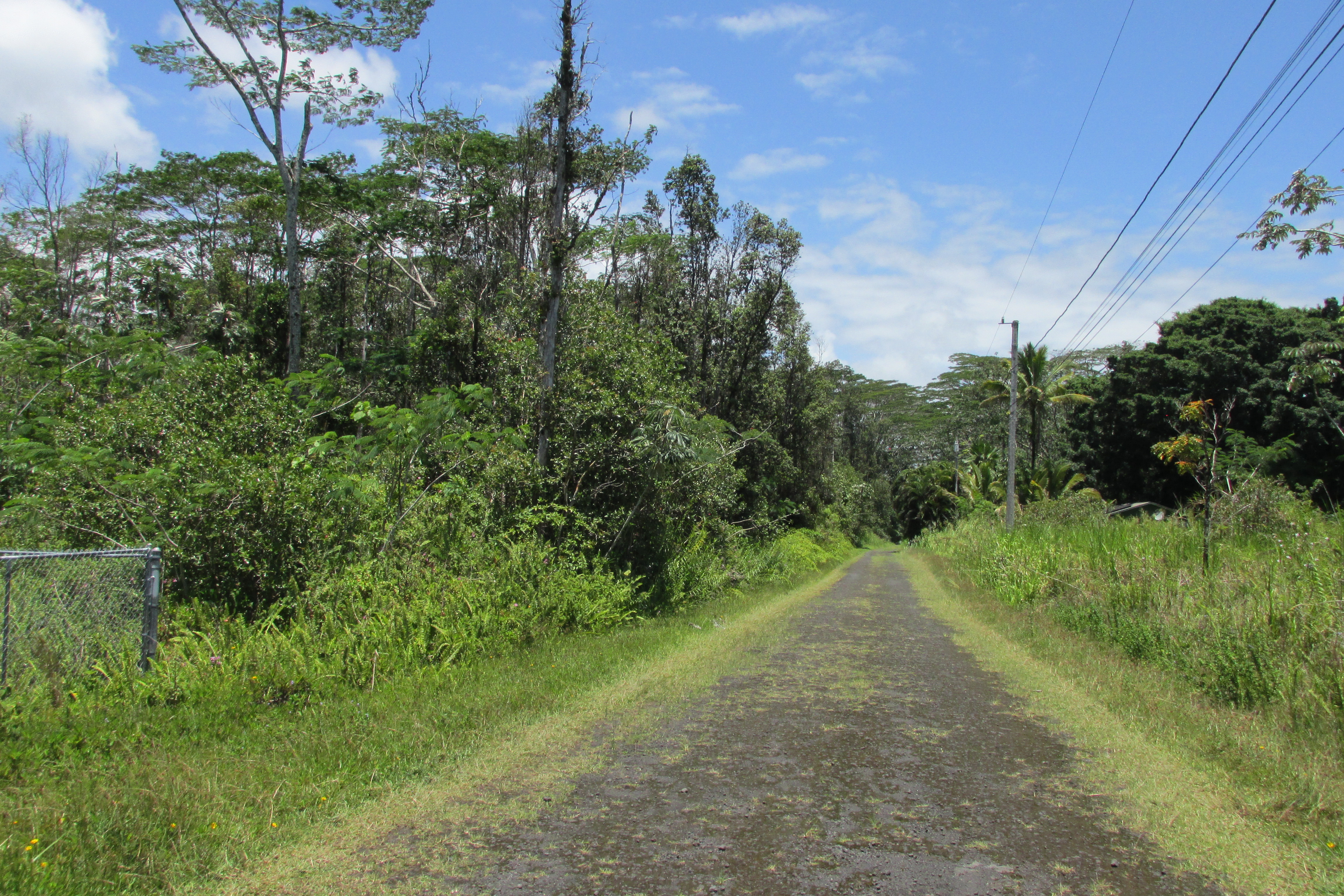 Plumeria Rd Property Photo 2