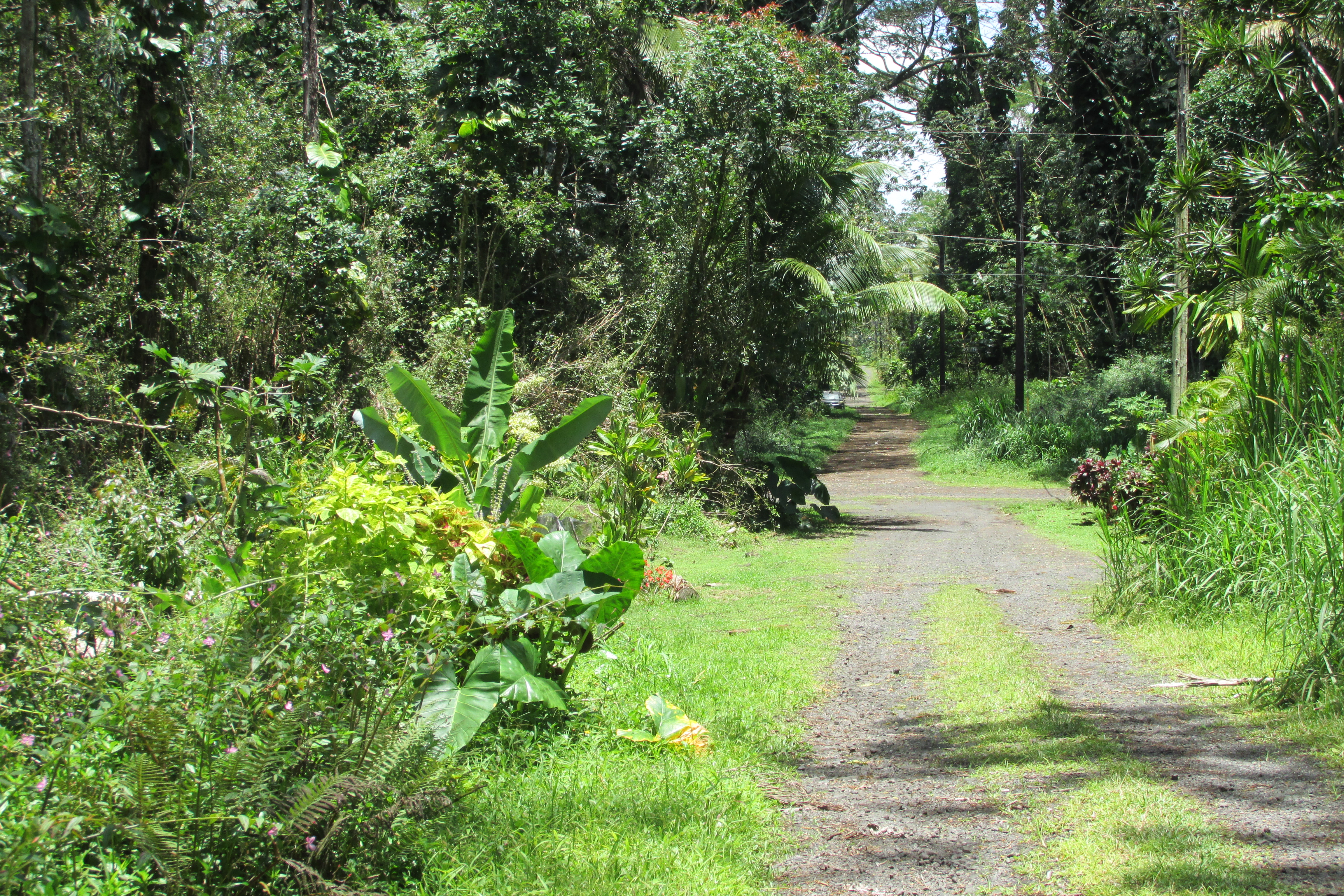 Plumeria Rd Property Photo 3