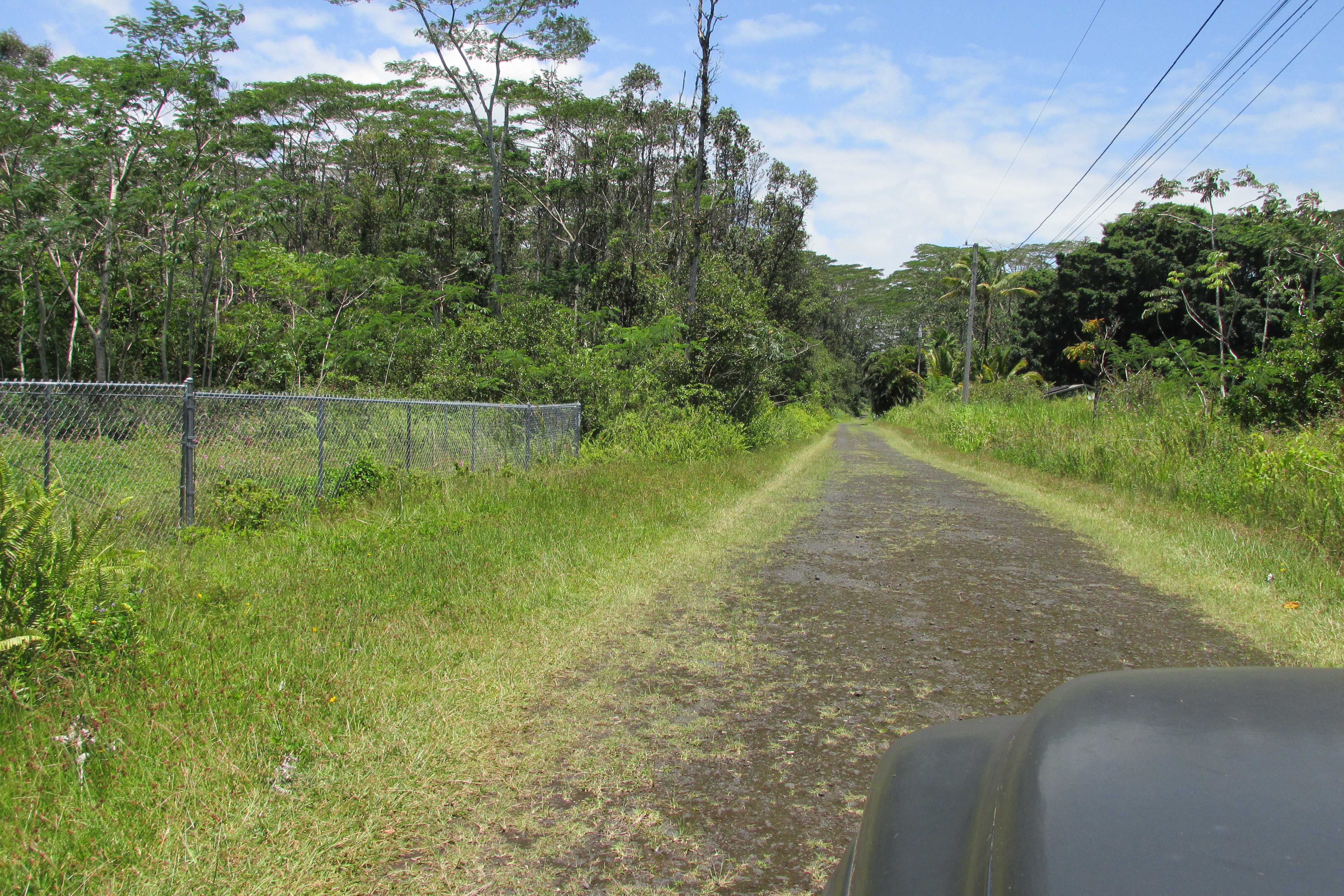 Plumeria Rd Property Photo 5