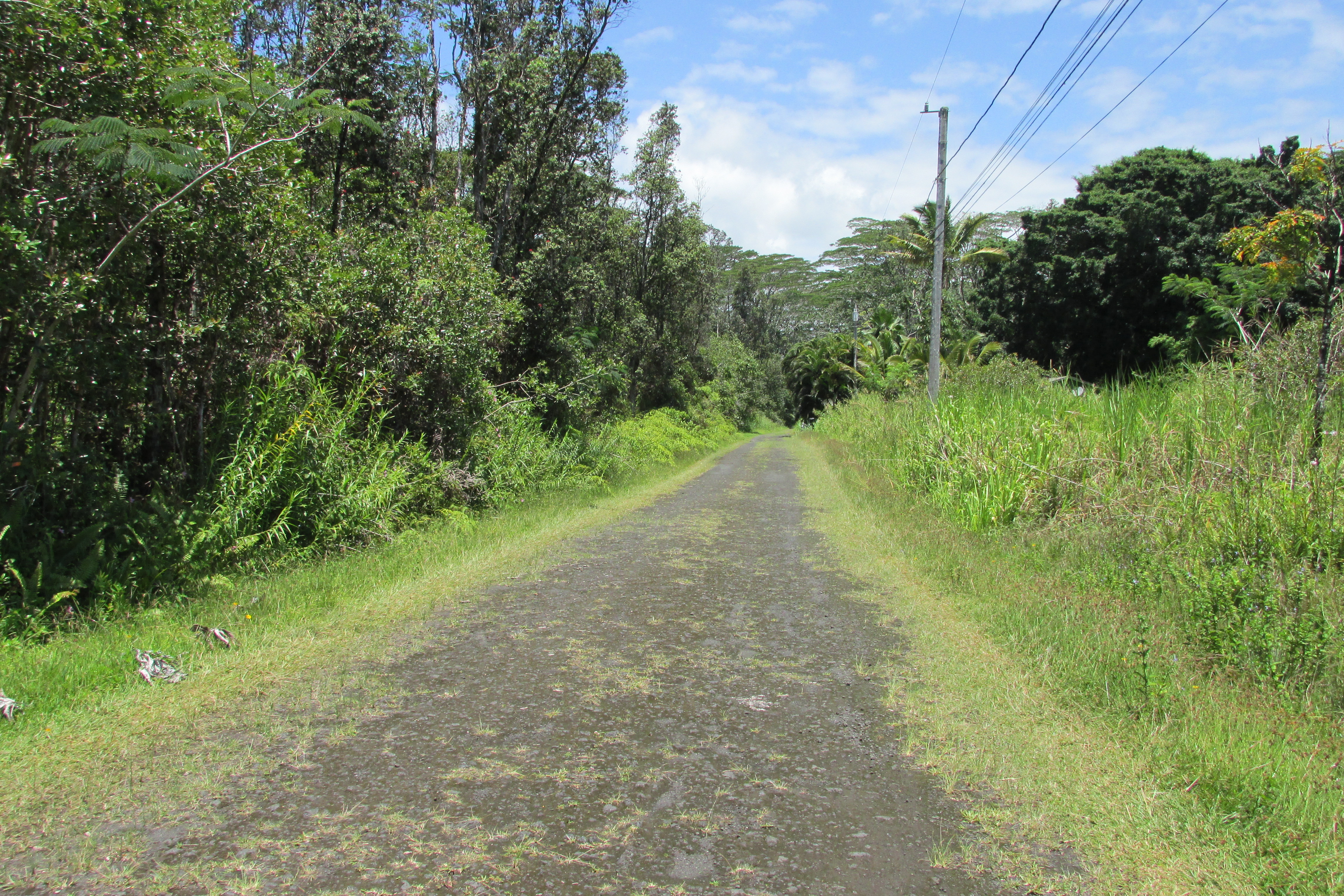 Plumeria Rd Property Photo 6