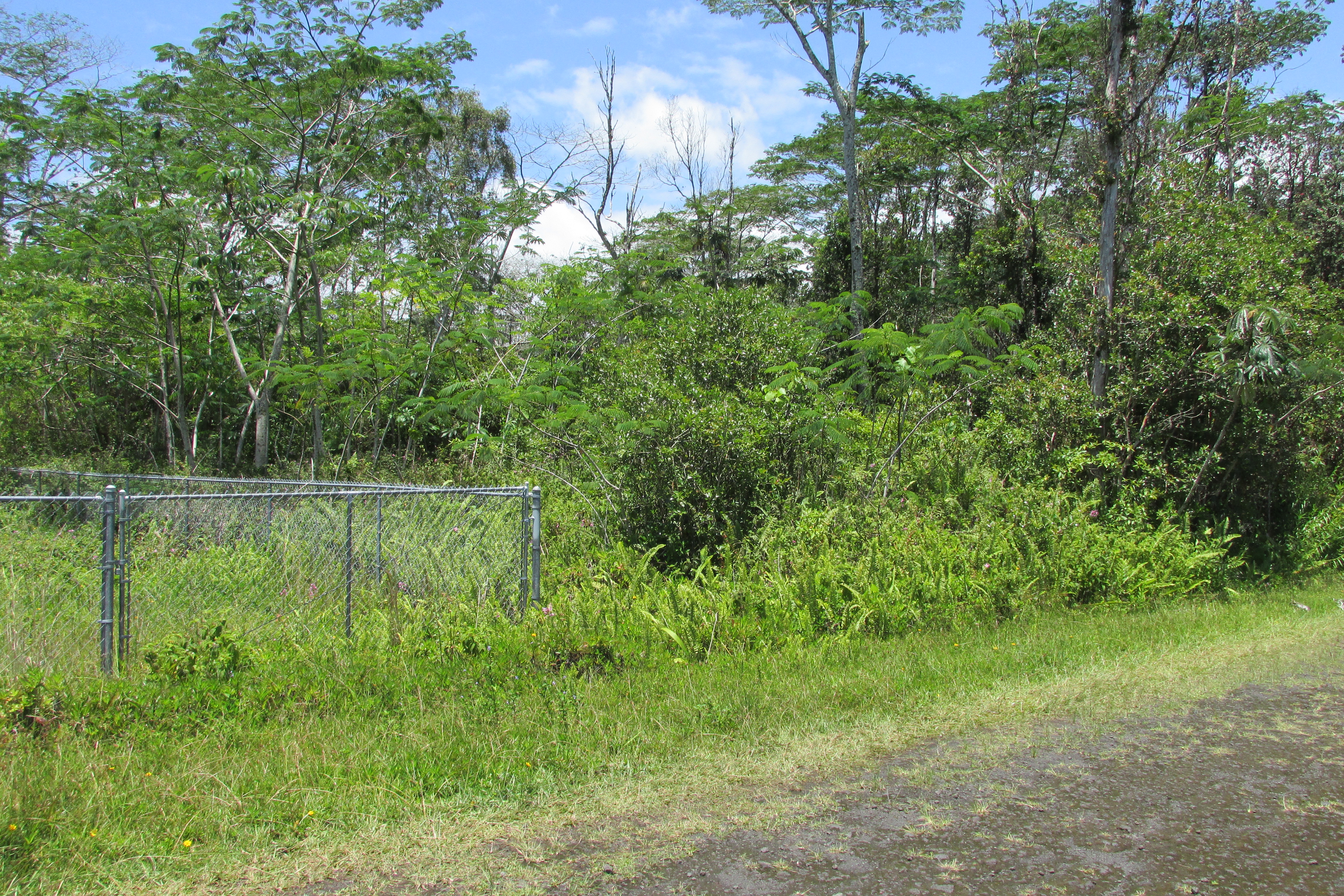 Plumeria Rd Property Photo 8