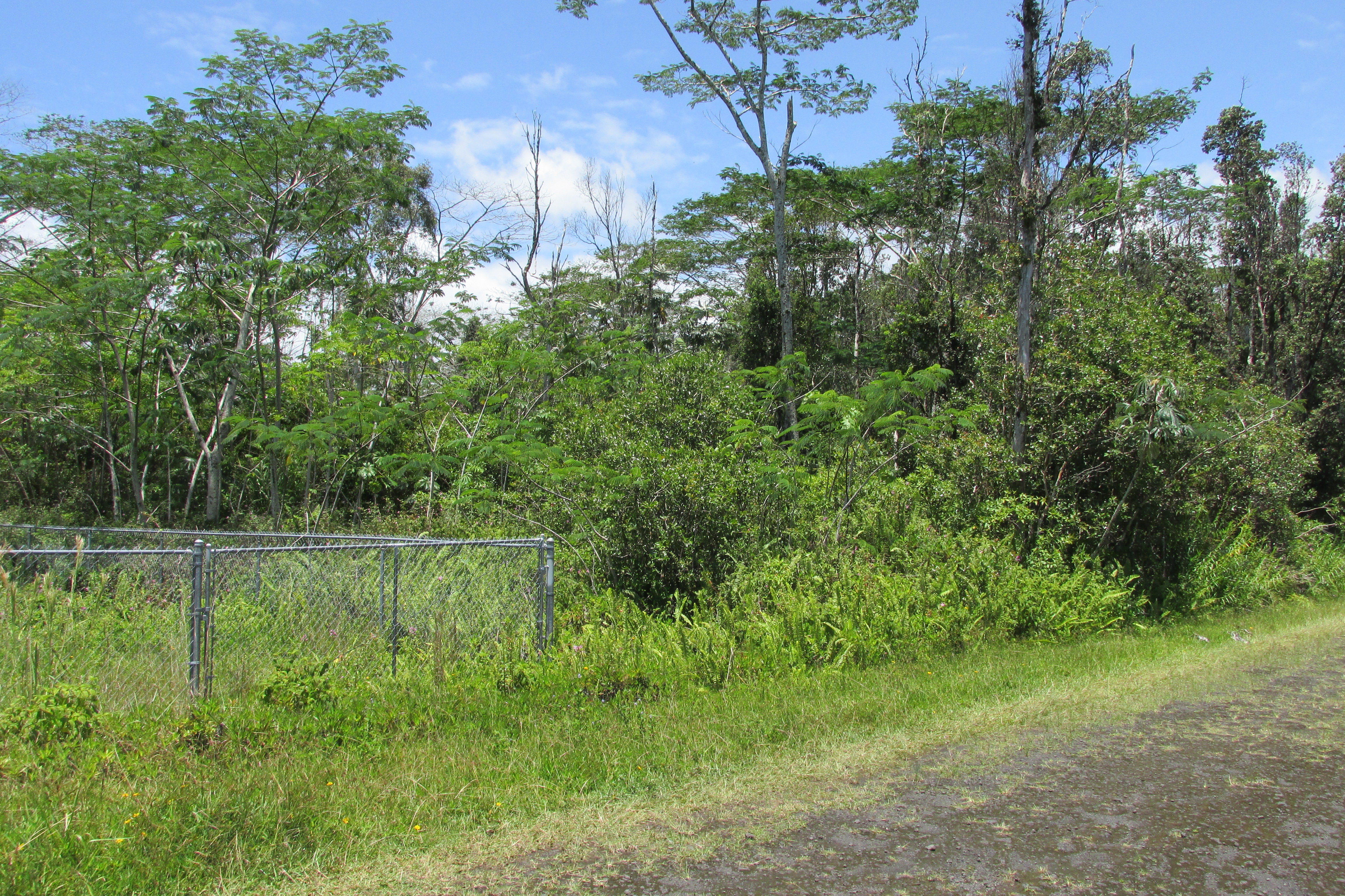 Plumeria Rd Property Photo 10