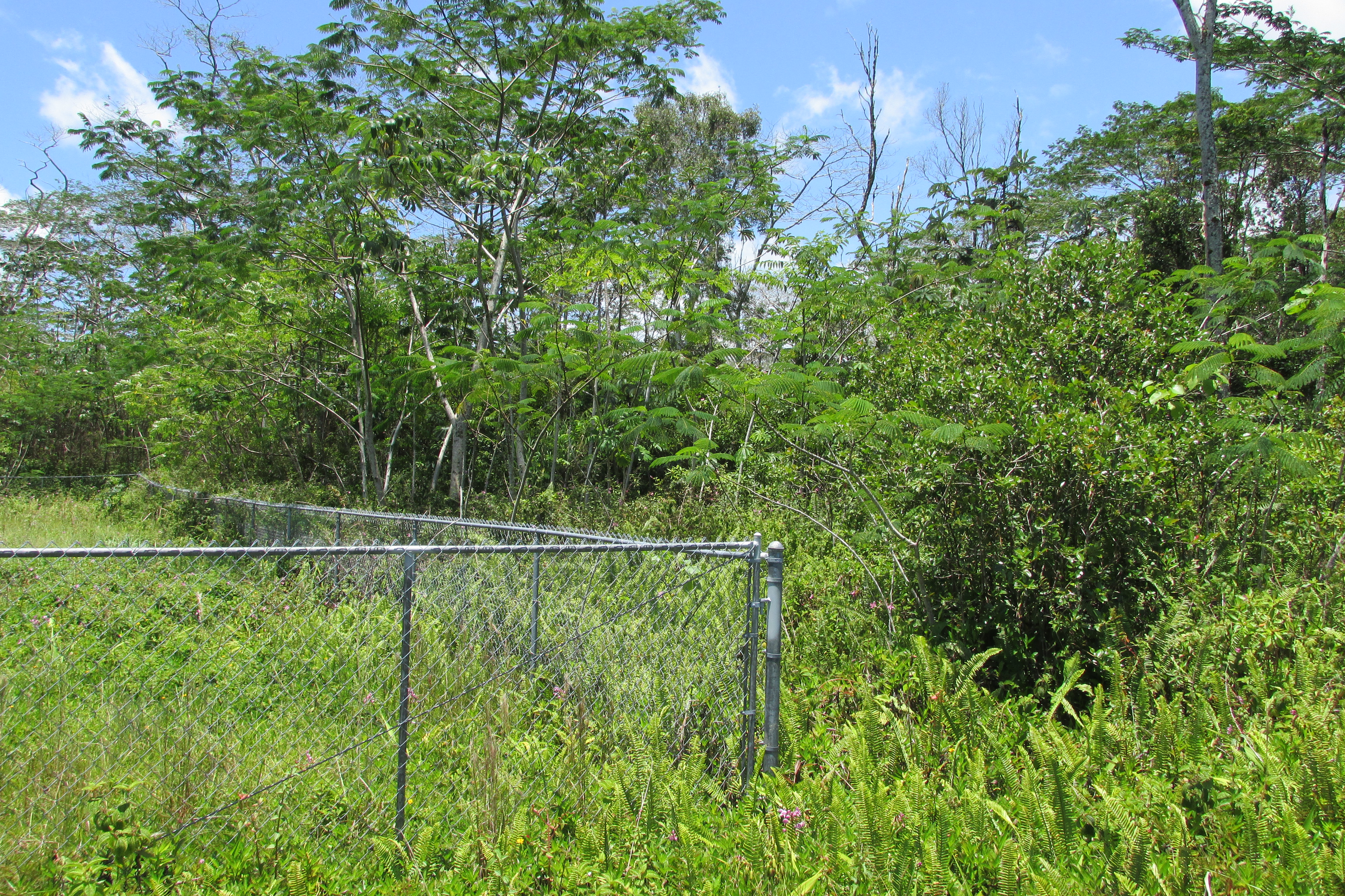Plumeria Rd Property Photo 11