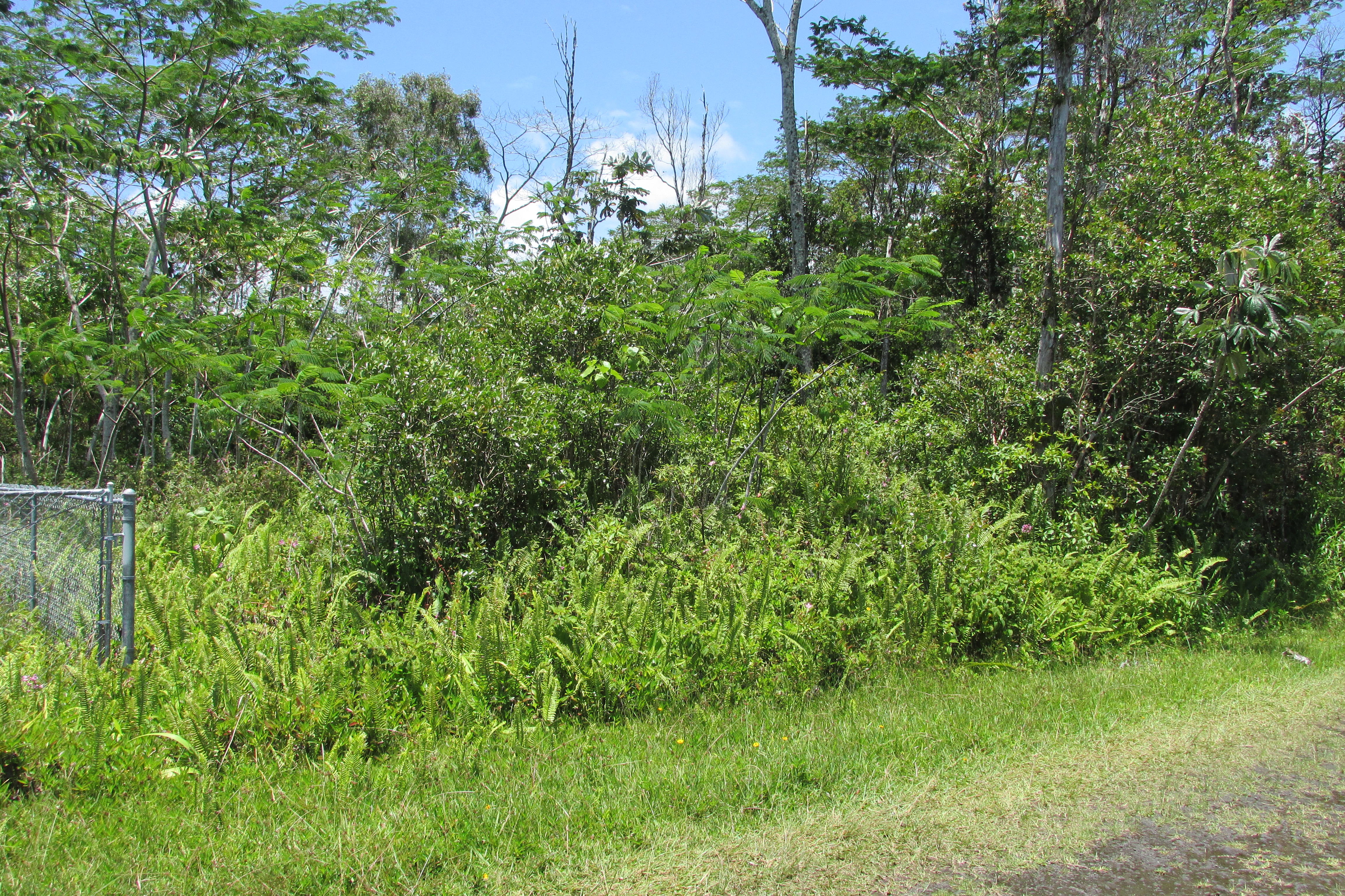 Plumeria Rd Property Photo 12