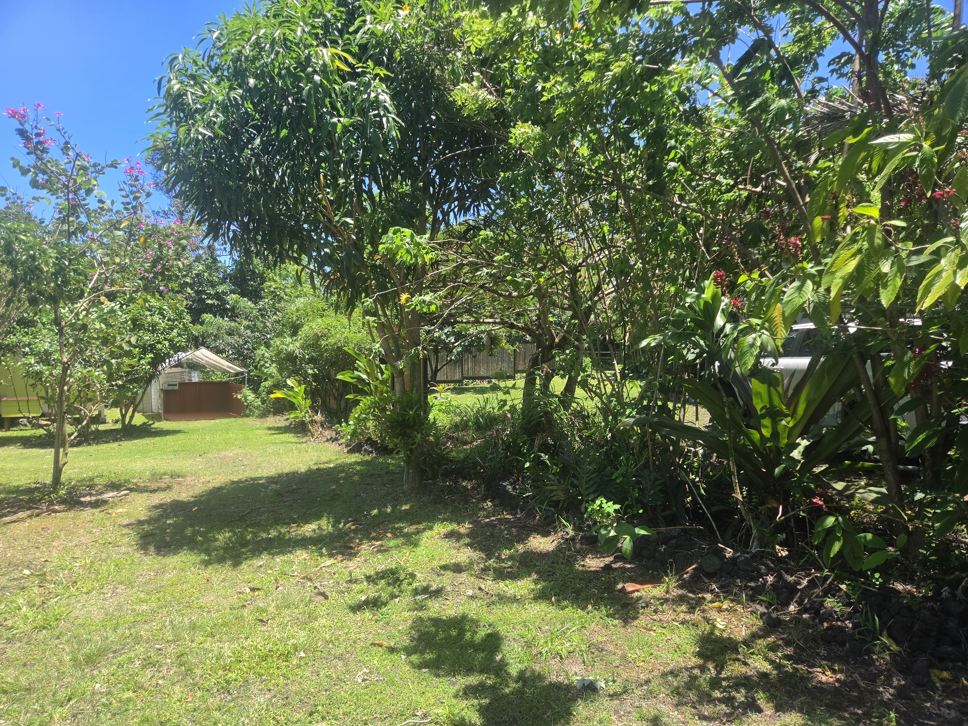 12-7009 Lahela St Property Photo 21