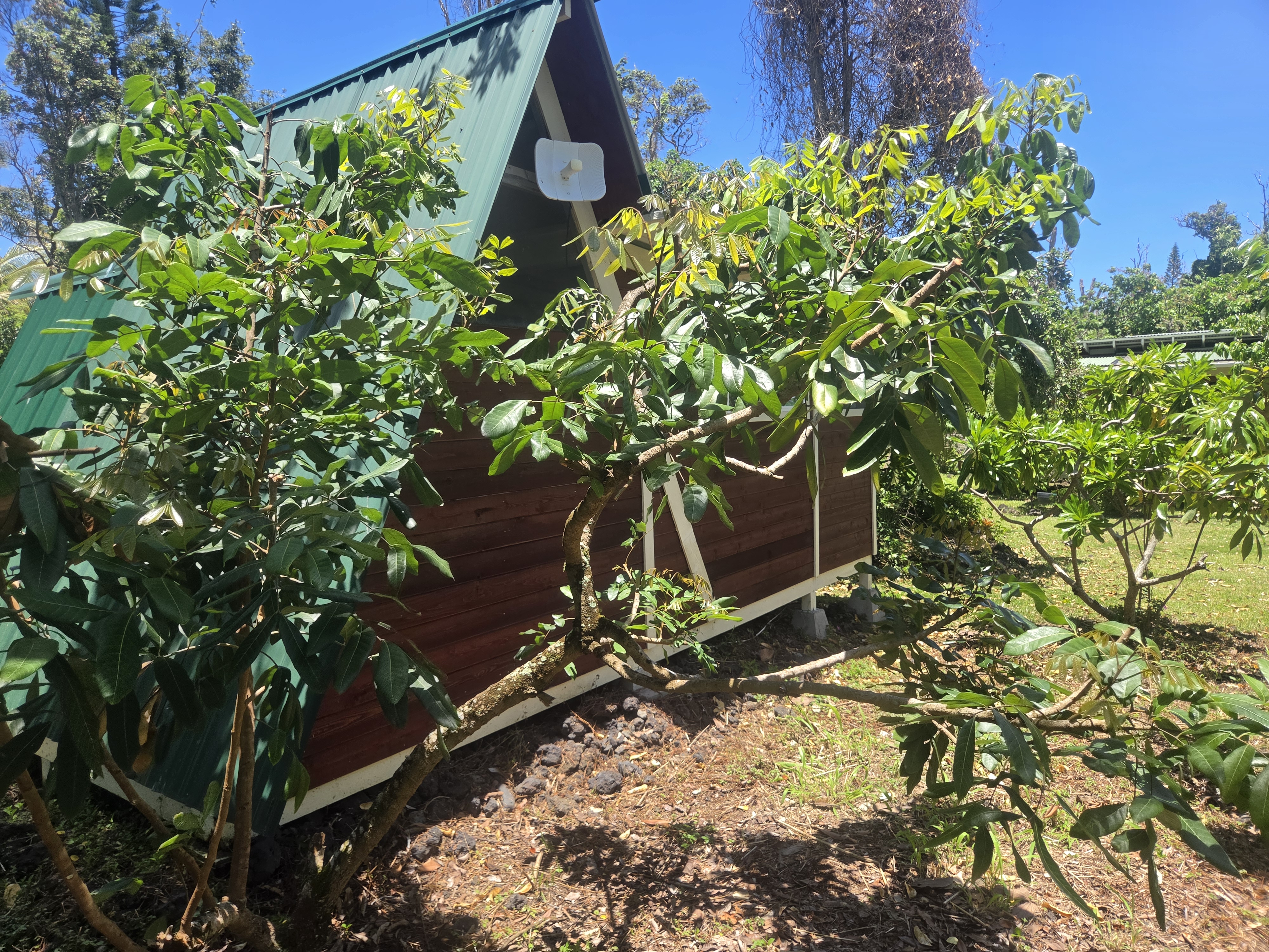 12-7009 Lahela St Property Photo 25