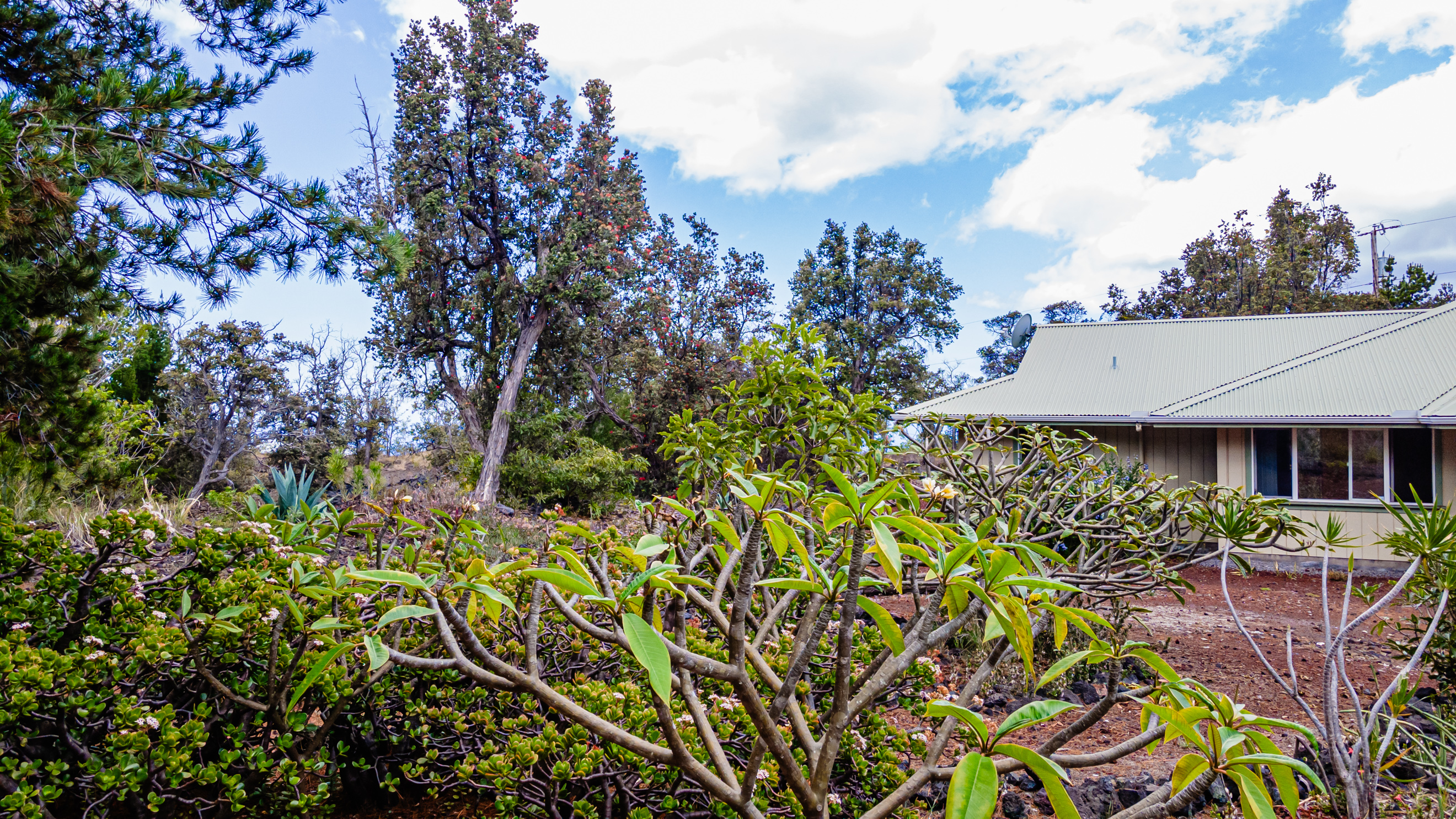 92-1800 Keaka Pkwy Property Photo 29