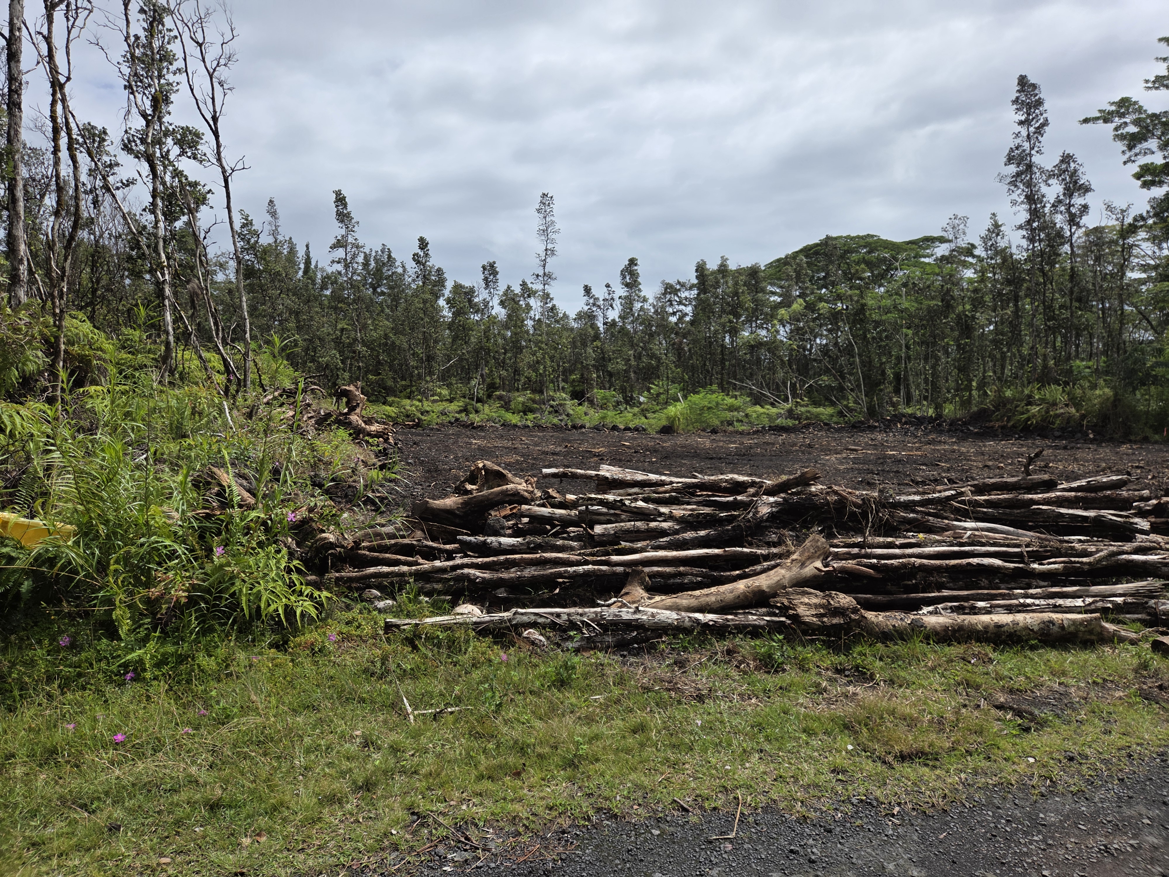 Plumeria Rd Property Photo 4