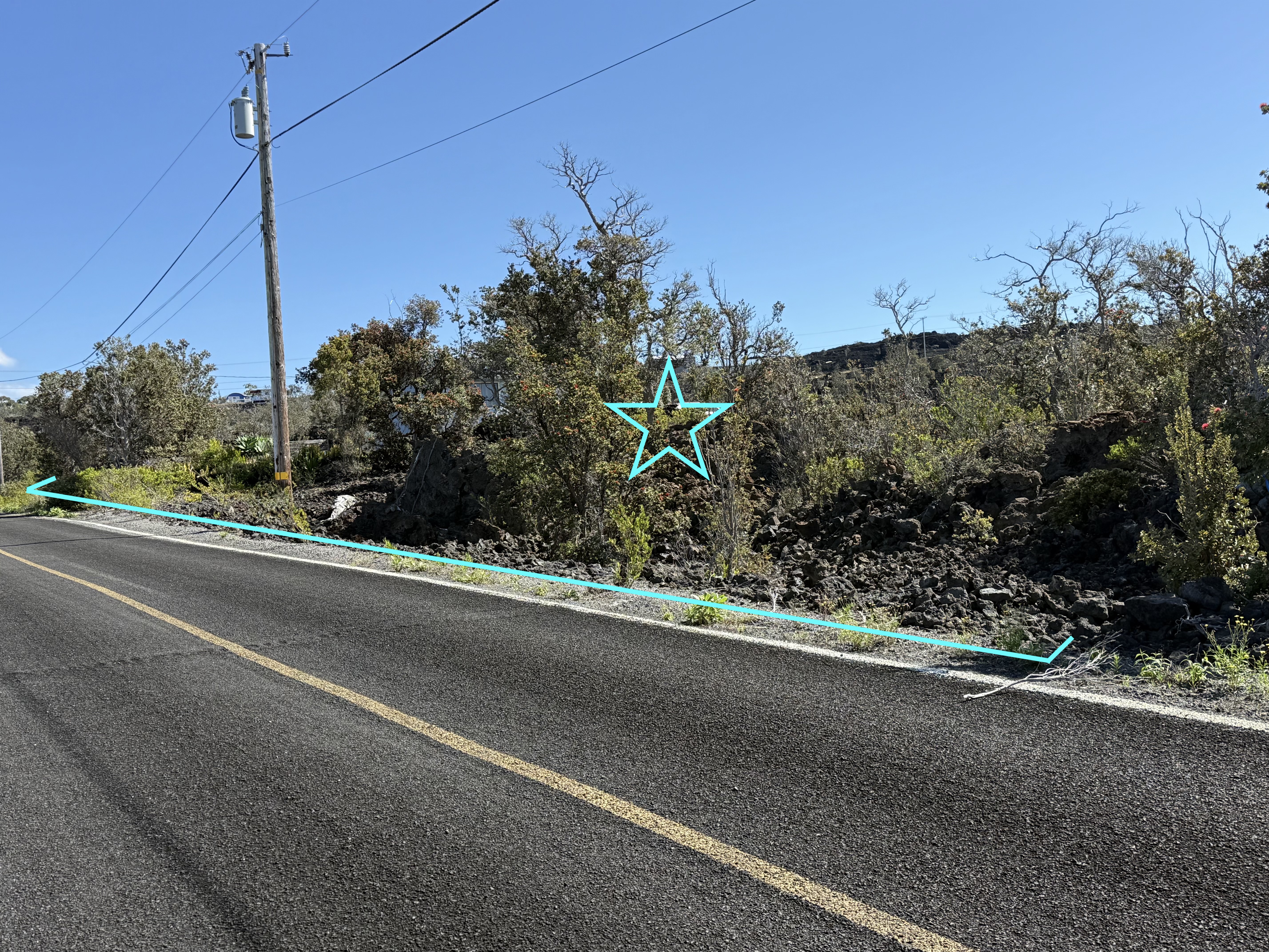 Pineapple Pkwy Property Photo 3
