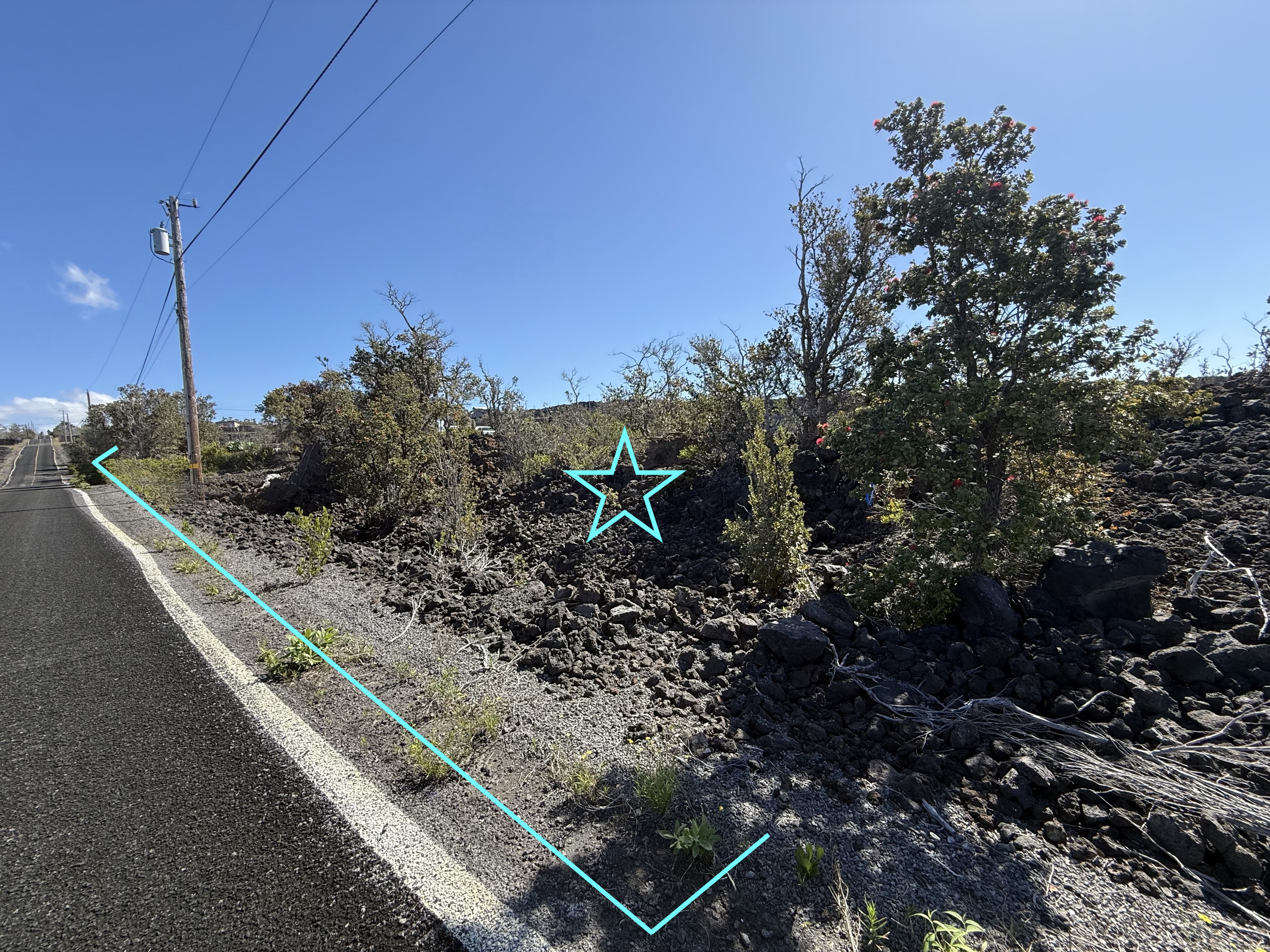 Pineapple Pkwy Property Photo 5