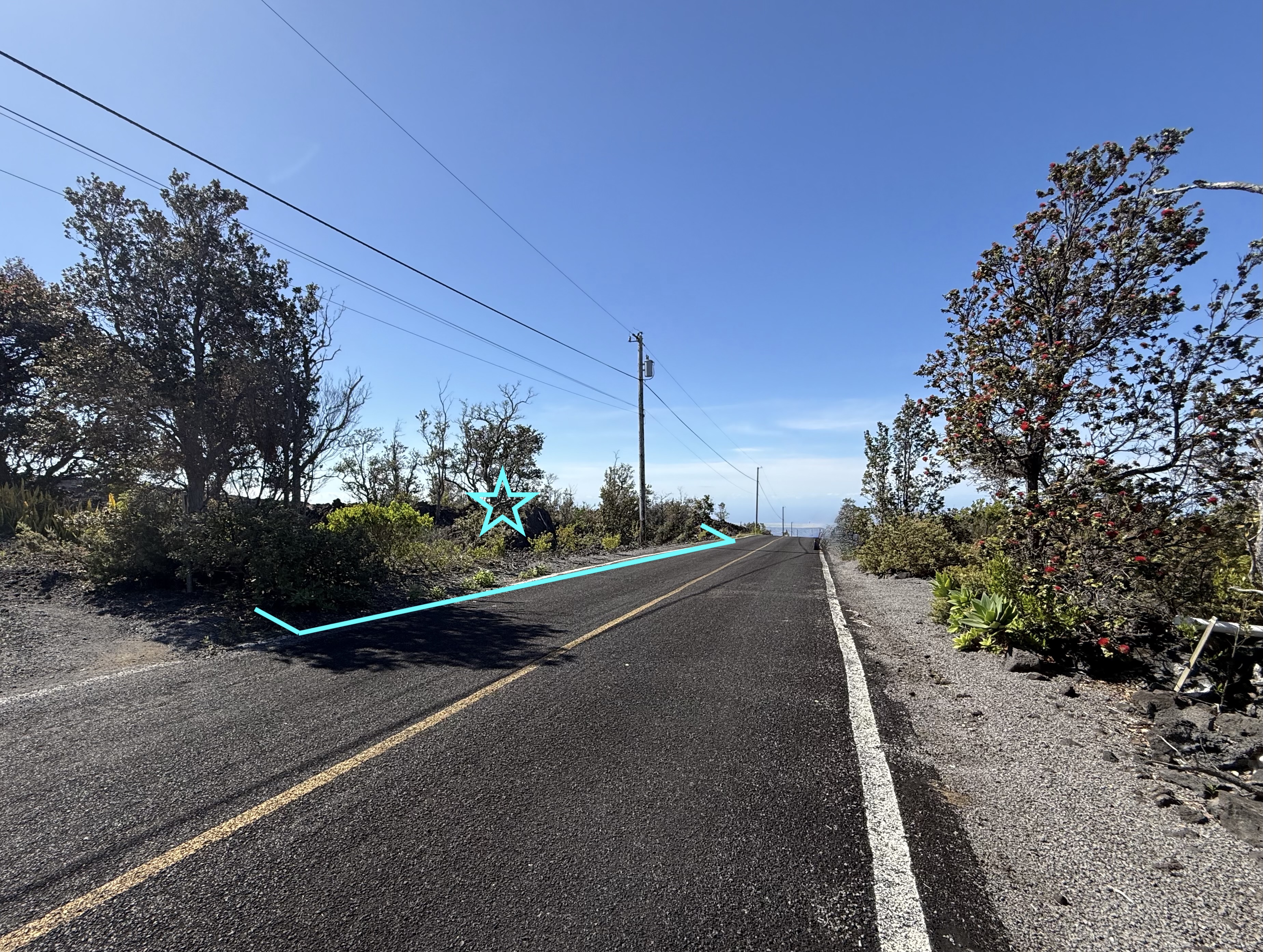 Pineapple Pkwy Property Photo 6