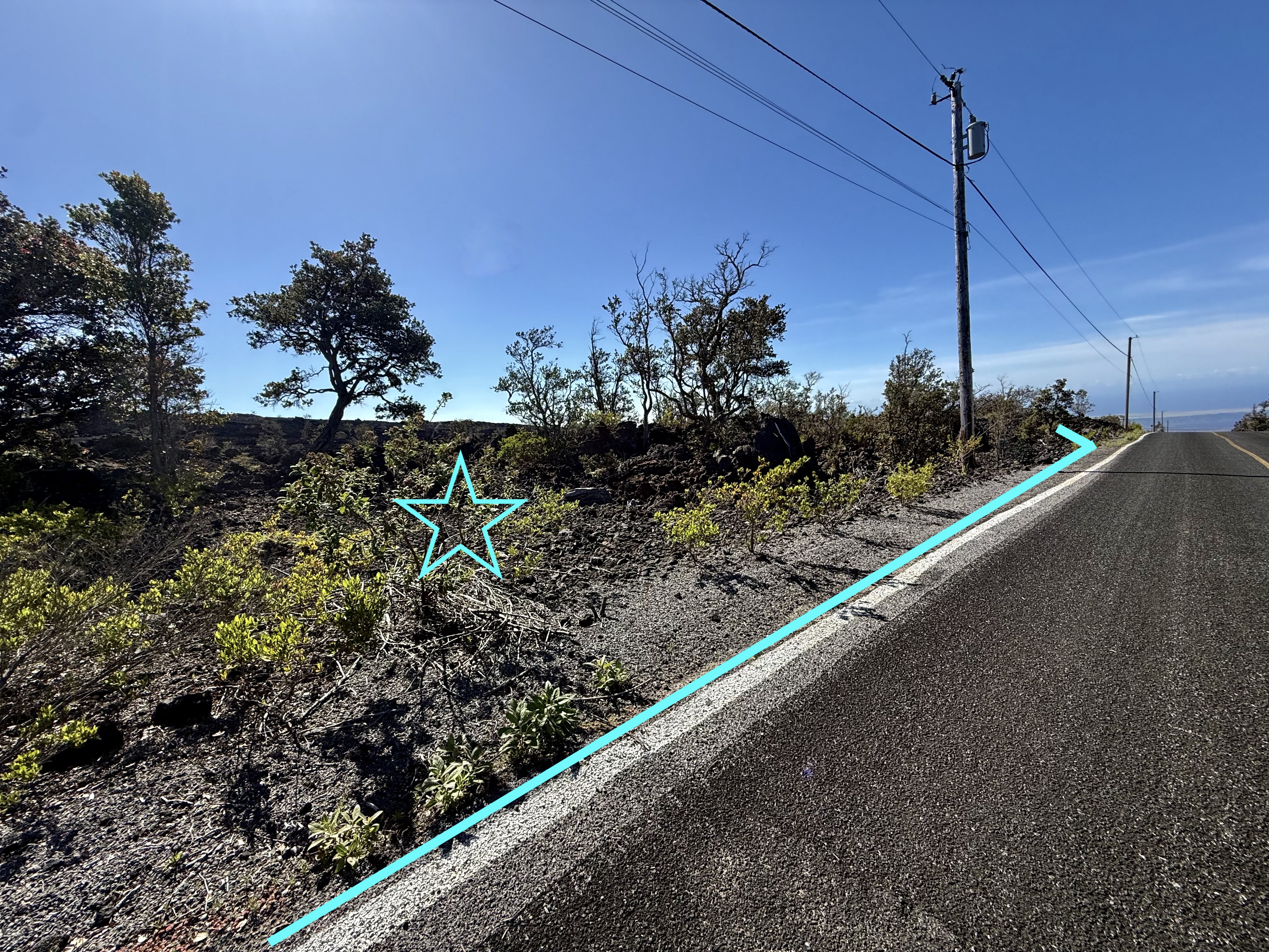 Pineapple Pkwy Property Photo 8