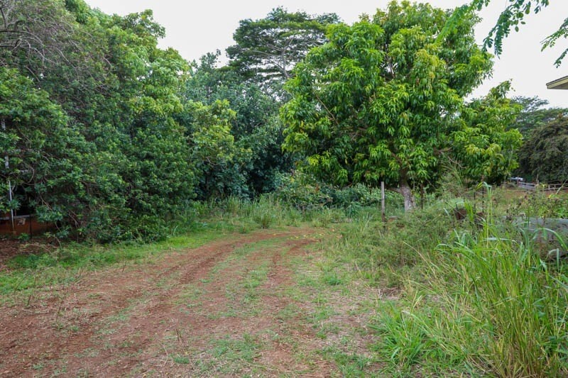 Omao Rd Property Photo 4