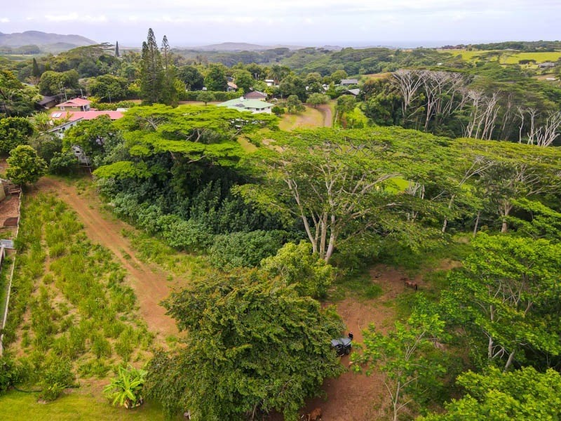 Omao Rd Property Photo 5