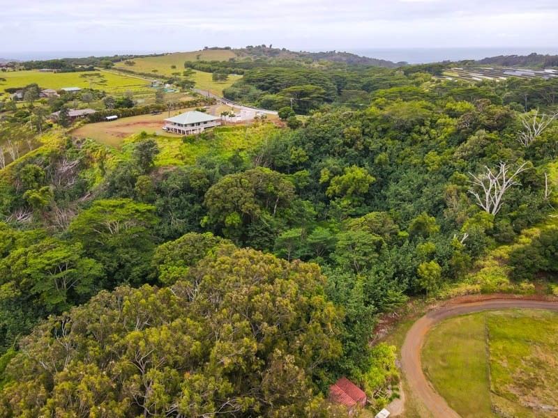 Omao Rd Property Photo 9