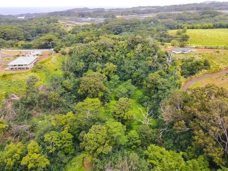 Omao Rd Property Photo 10