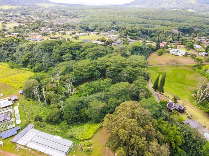 Omao Rd Property Photo 12