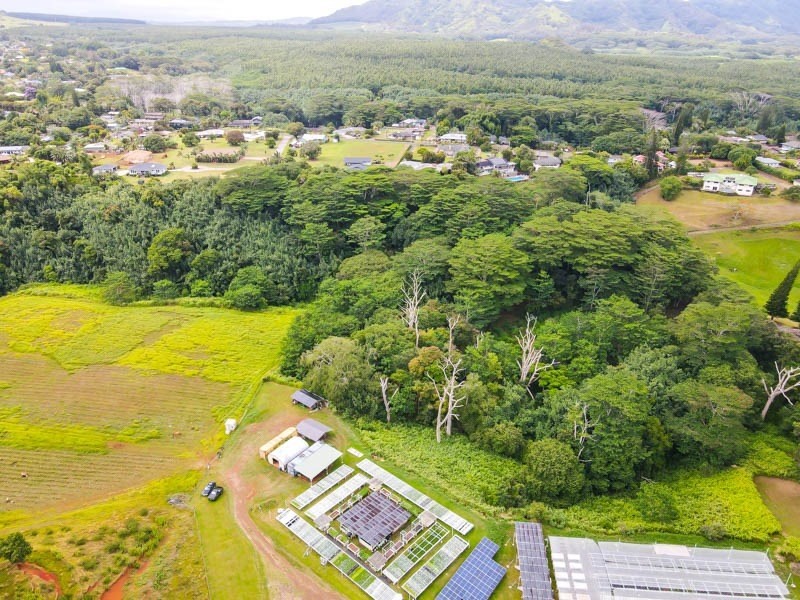 Omao Rd Property Photo 13