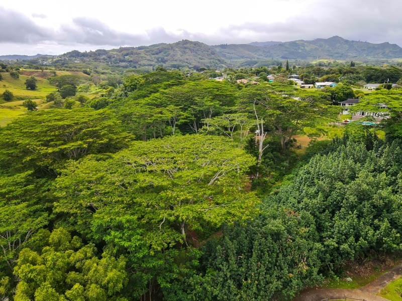 Omao Rd Property Photo 18